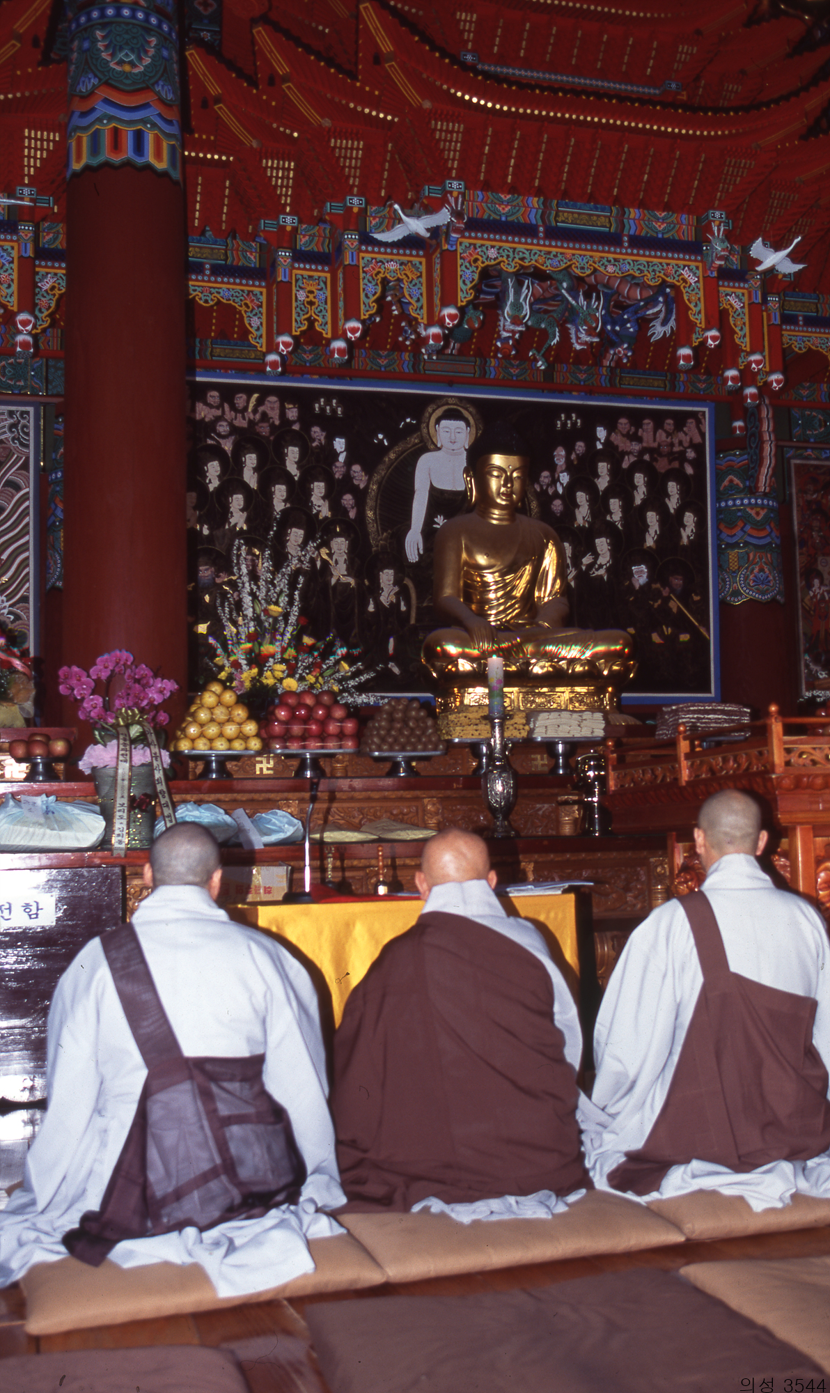 다운로드 불가 이미지