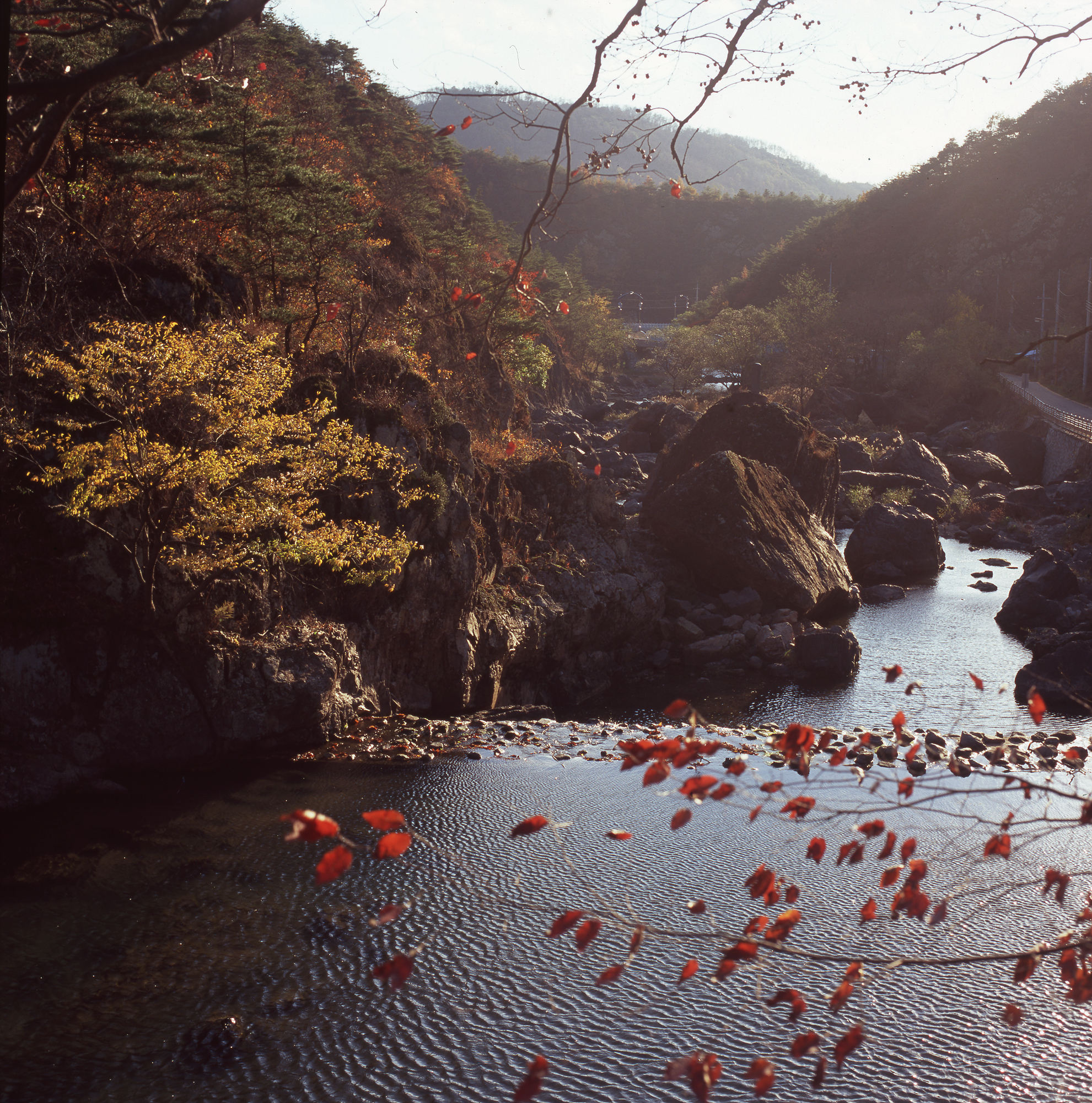 다운로드 불가 이미지