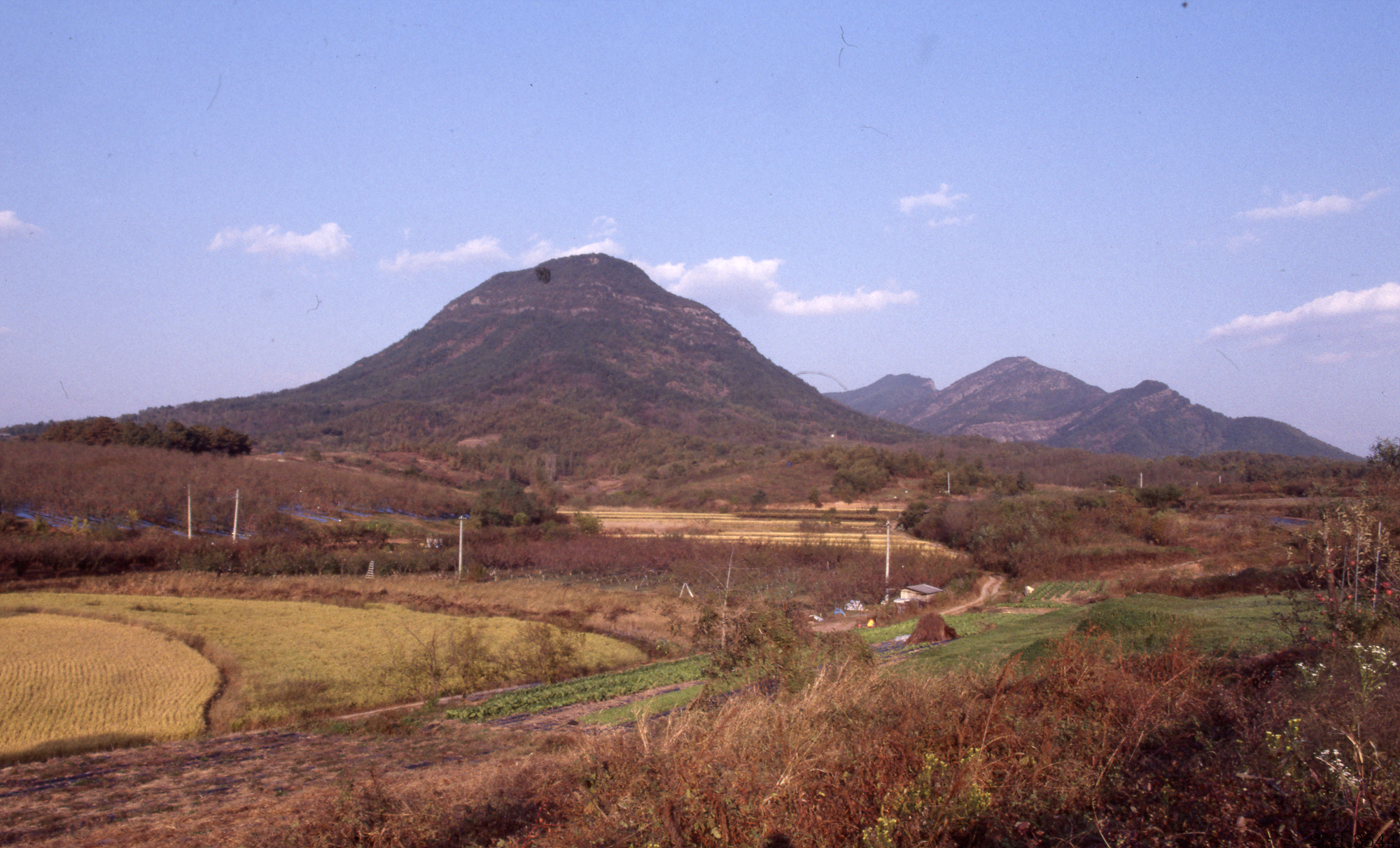 다운로드 불가 이미지