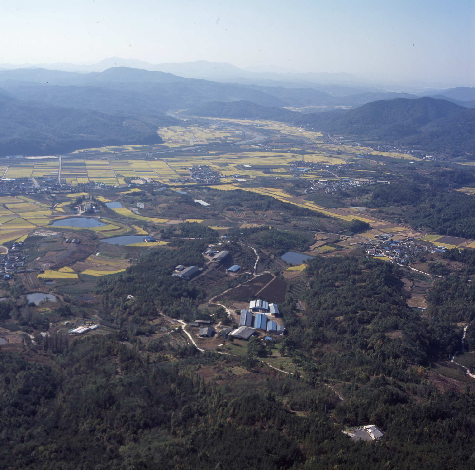 다운로드 불가 이미지