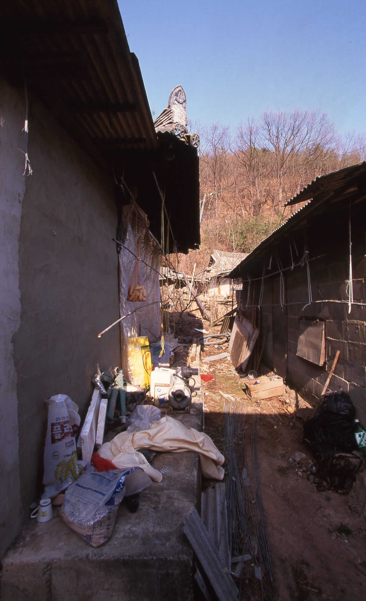 다운로드 불가 이미지