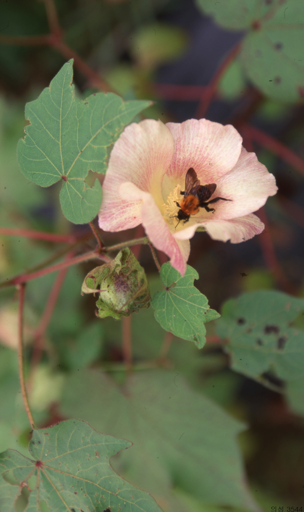 다운로드 불가 이미지