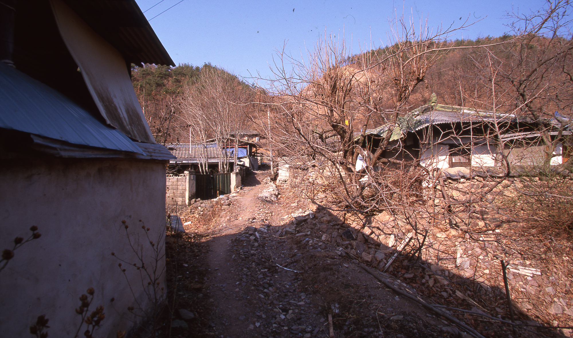 다운로드 불가 이미지