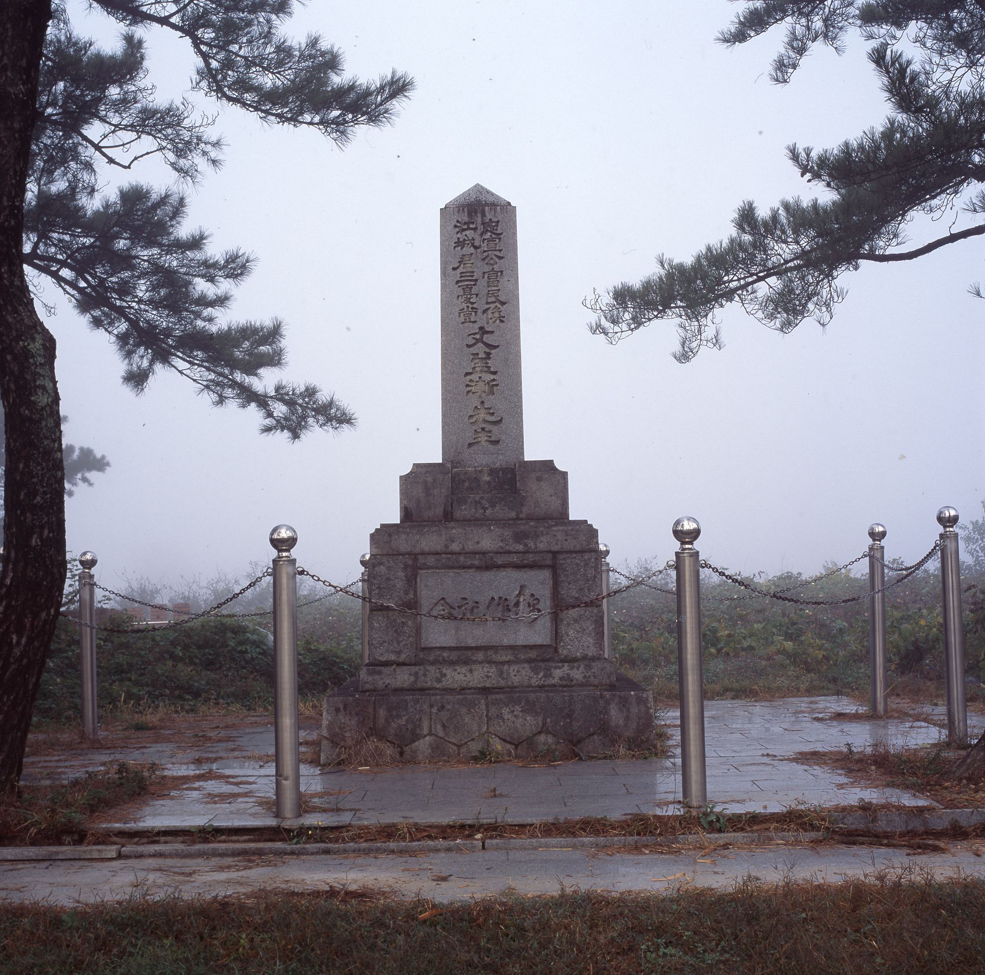 다운로드 불가 이미지