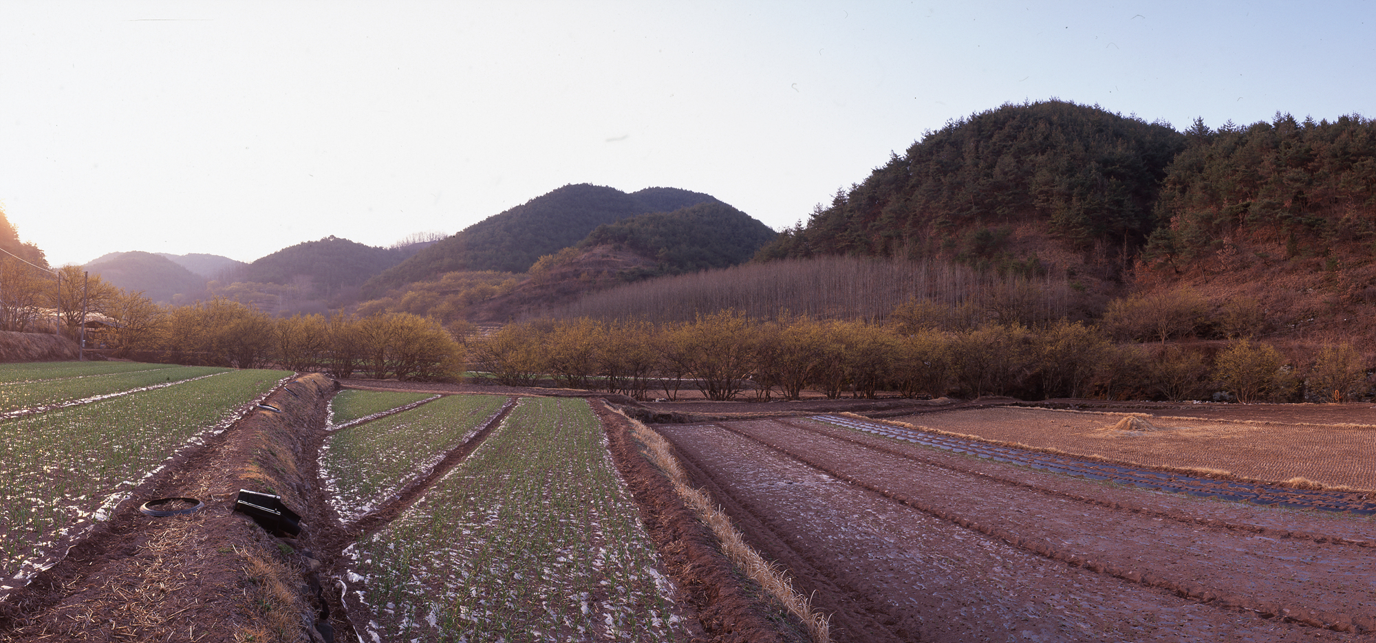 다운로드 불가 이미지