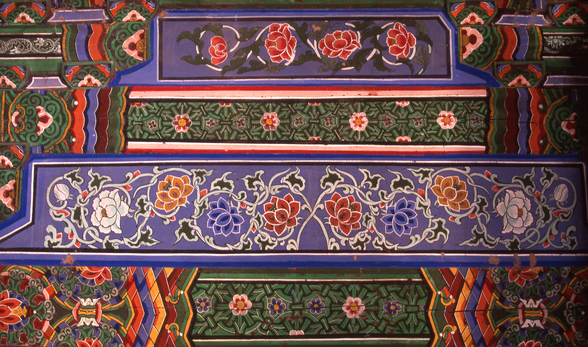 다운로드 불가 이미지