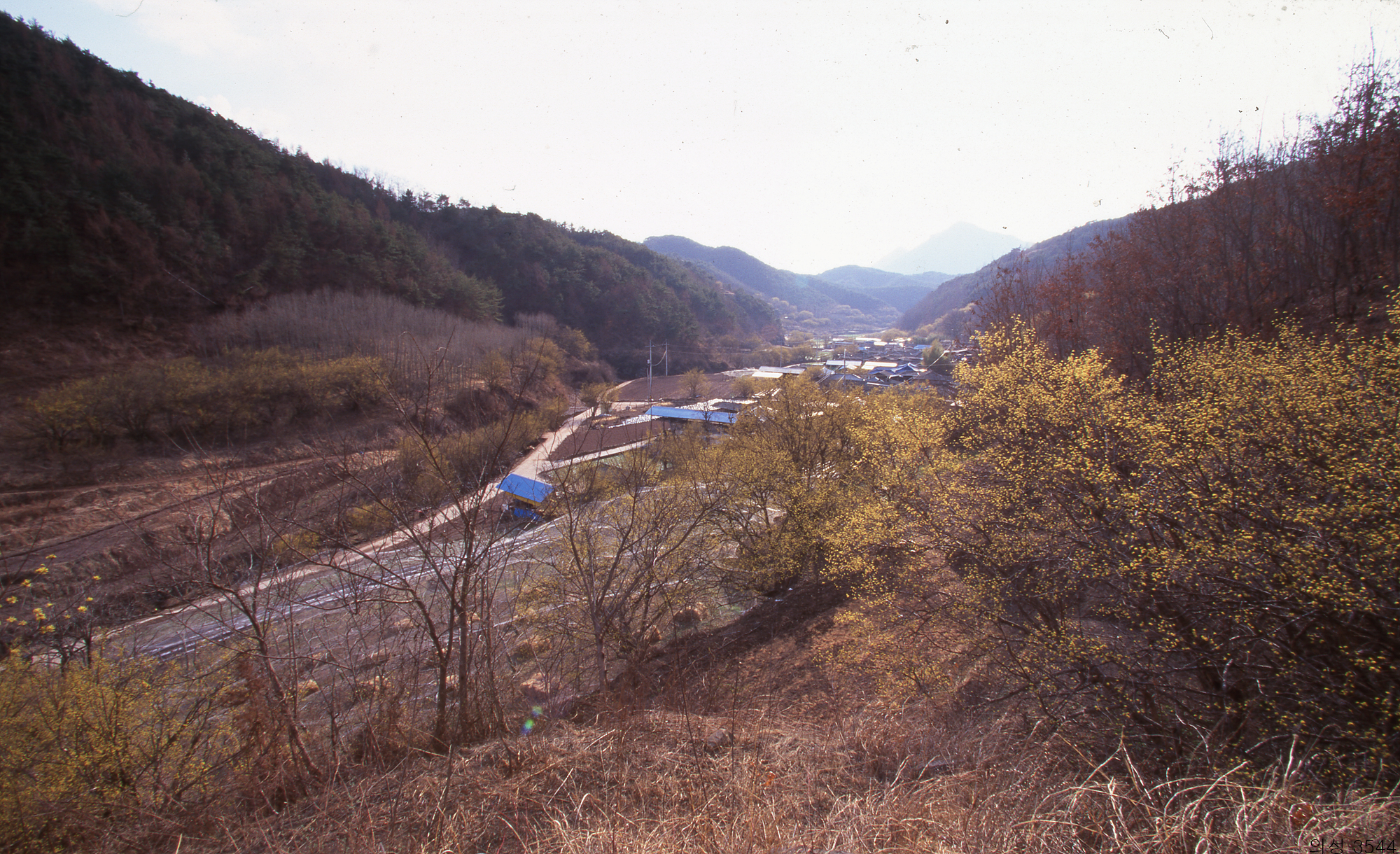 다운로드 불가 이미지