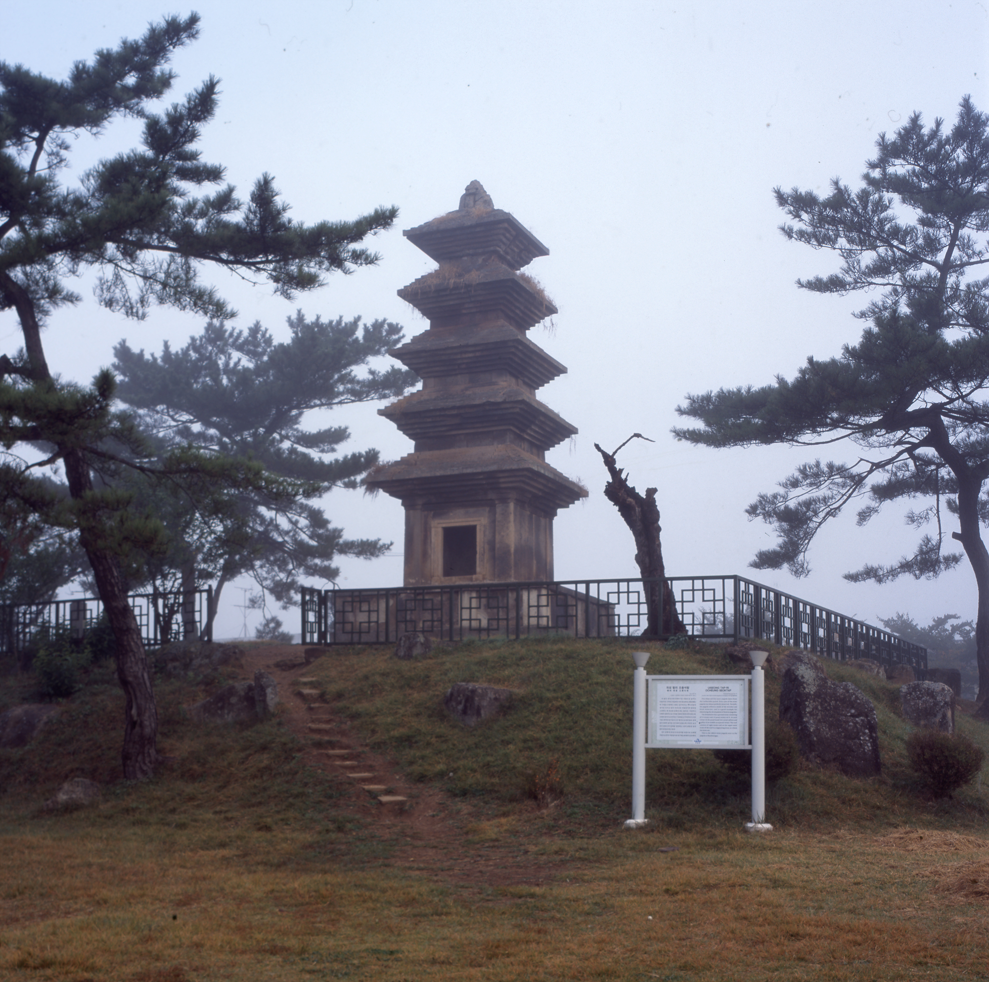 다운로드 불가 이미지