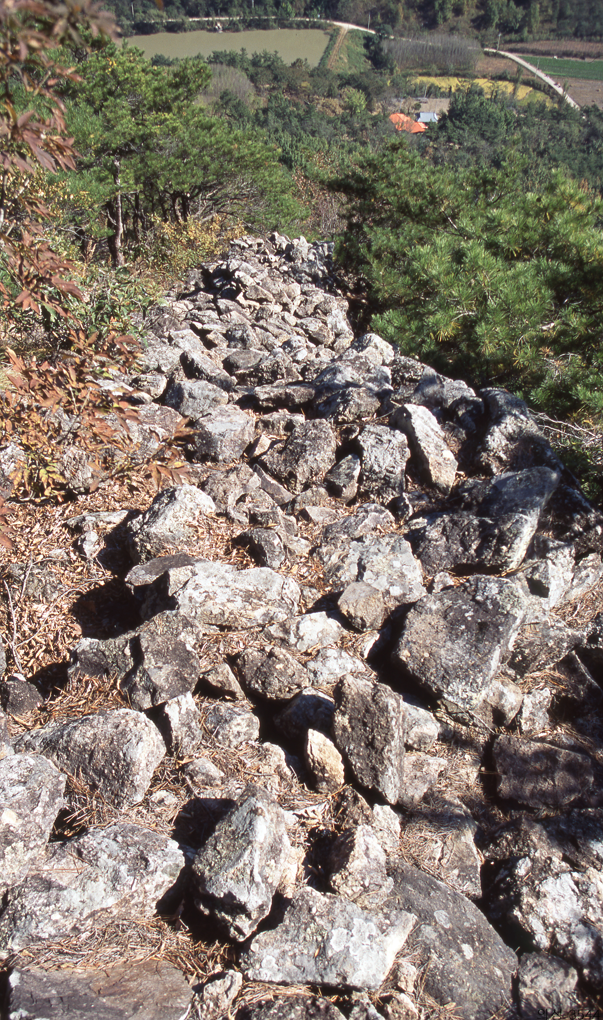 다운로드 불가 이미지