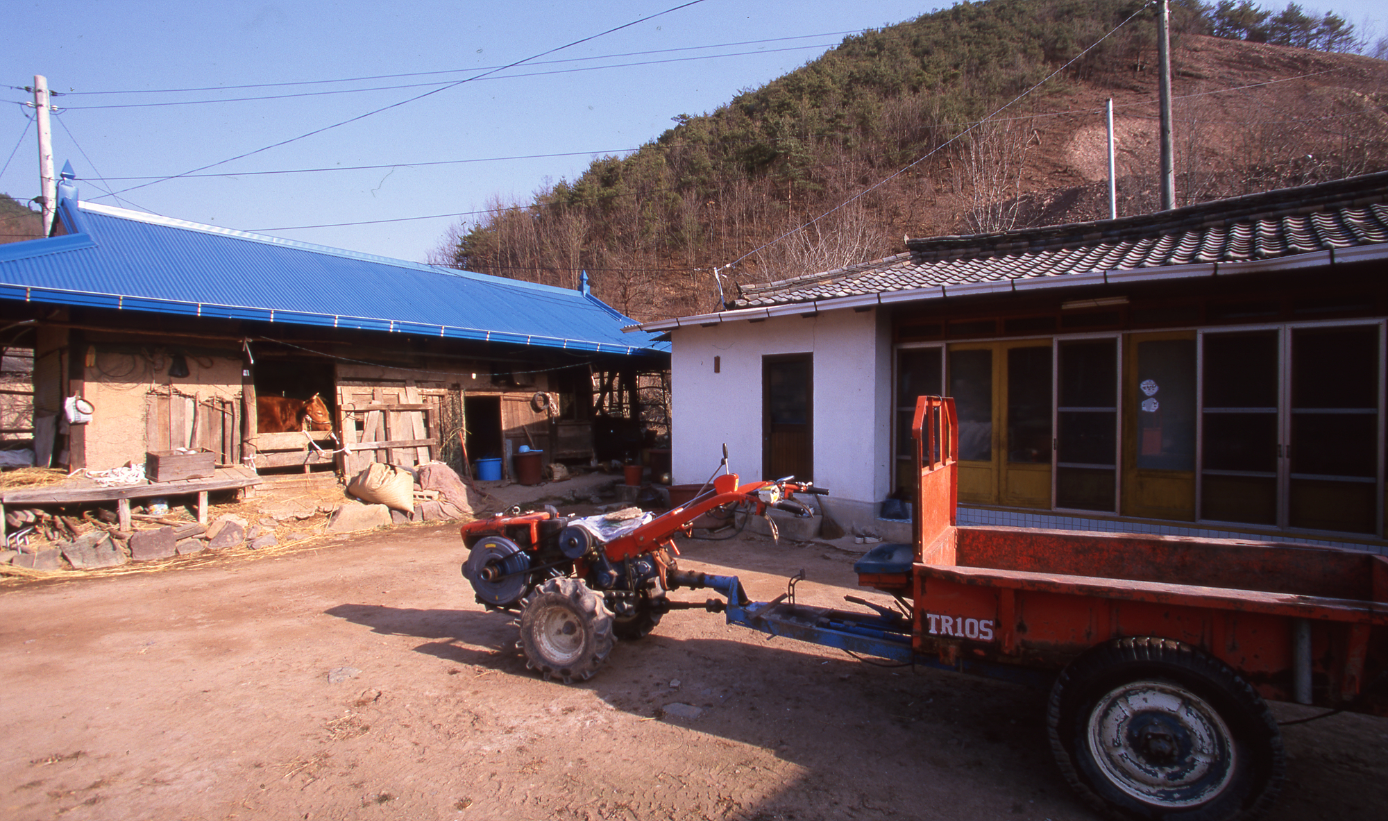 다운로드 불가 이미지