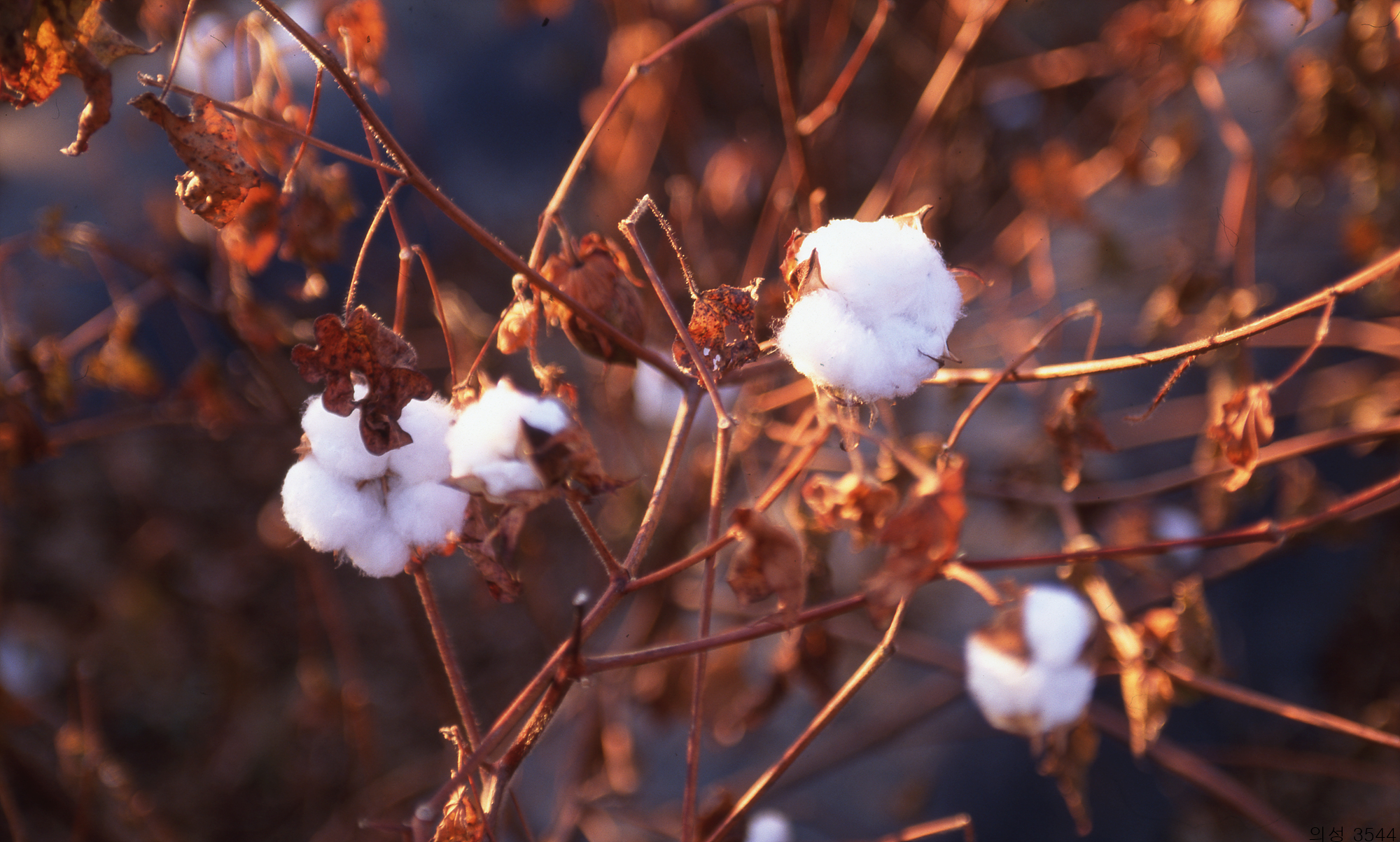 다운로드 불가 이미지