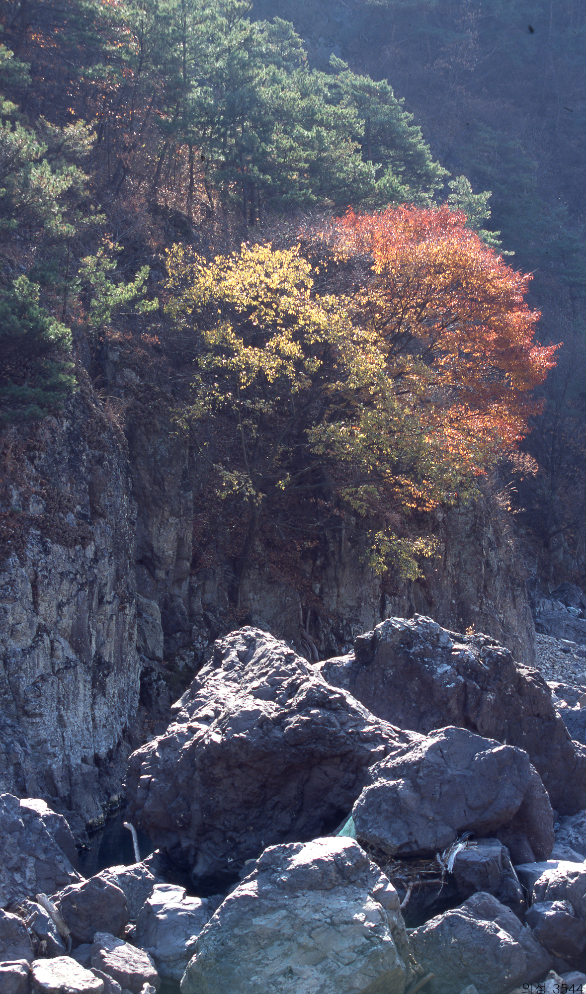다운로드 불가 이미지
