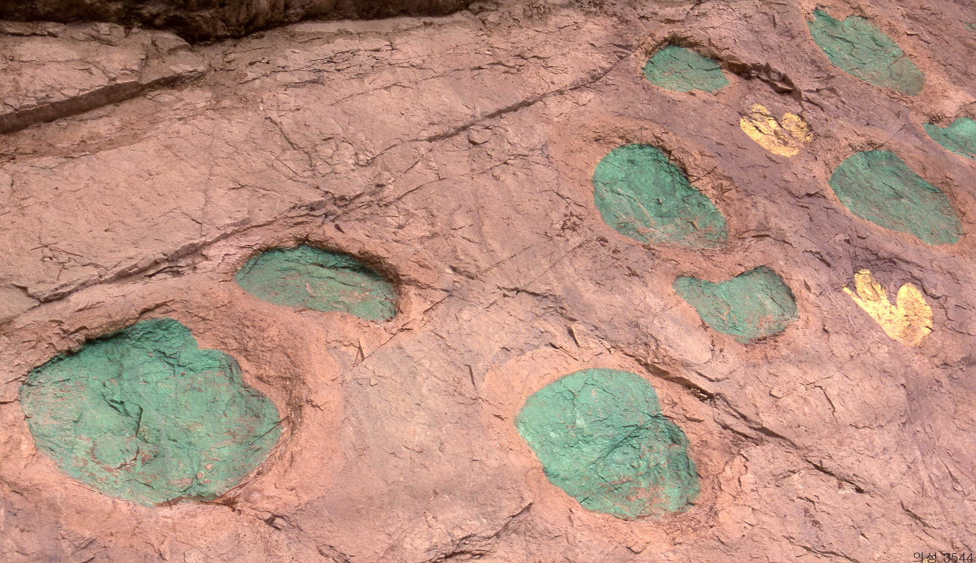 다운로드 불가 이미지