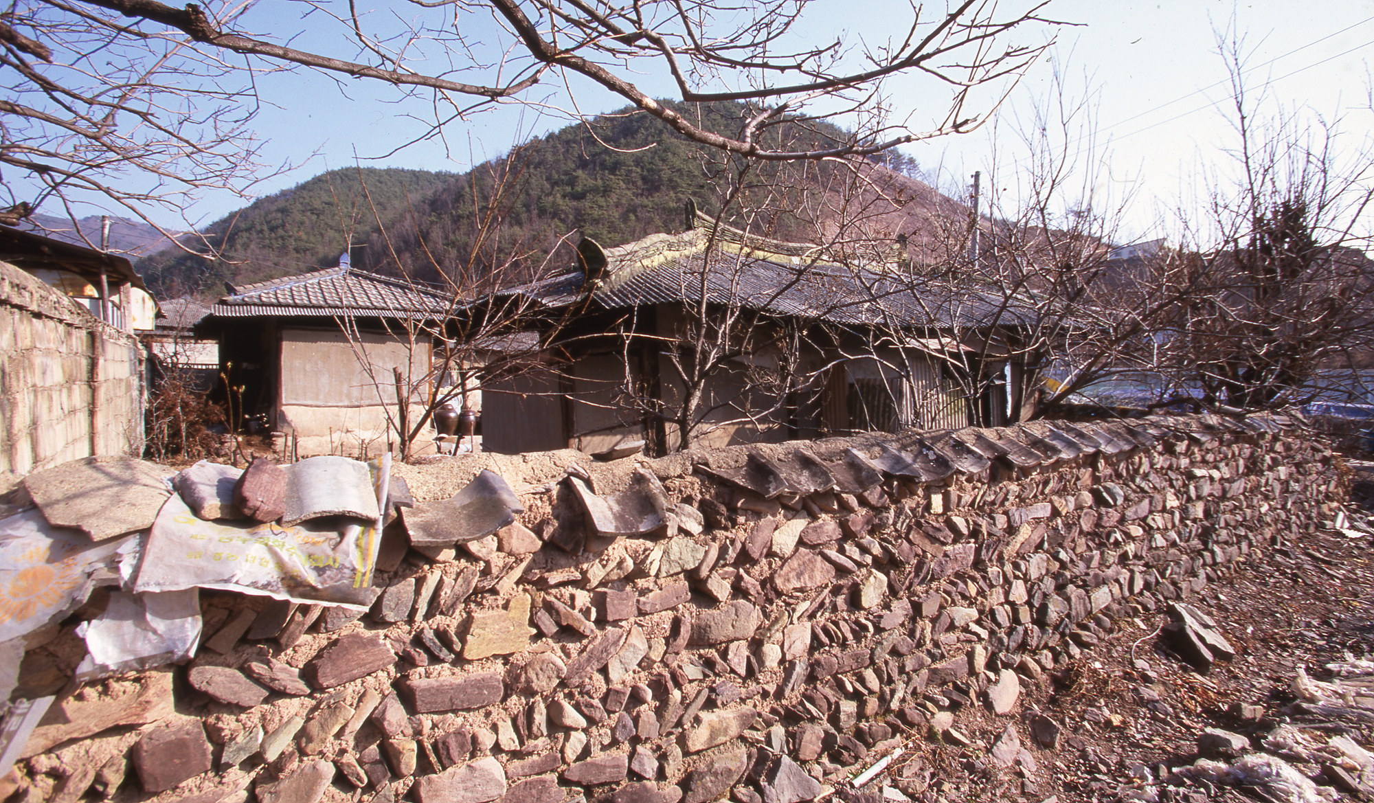 다운로드 불가 이미지