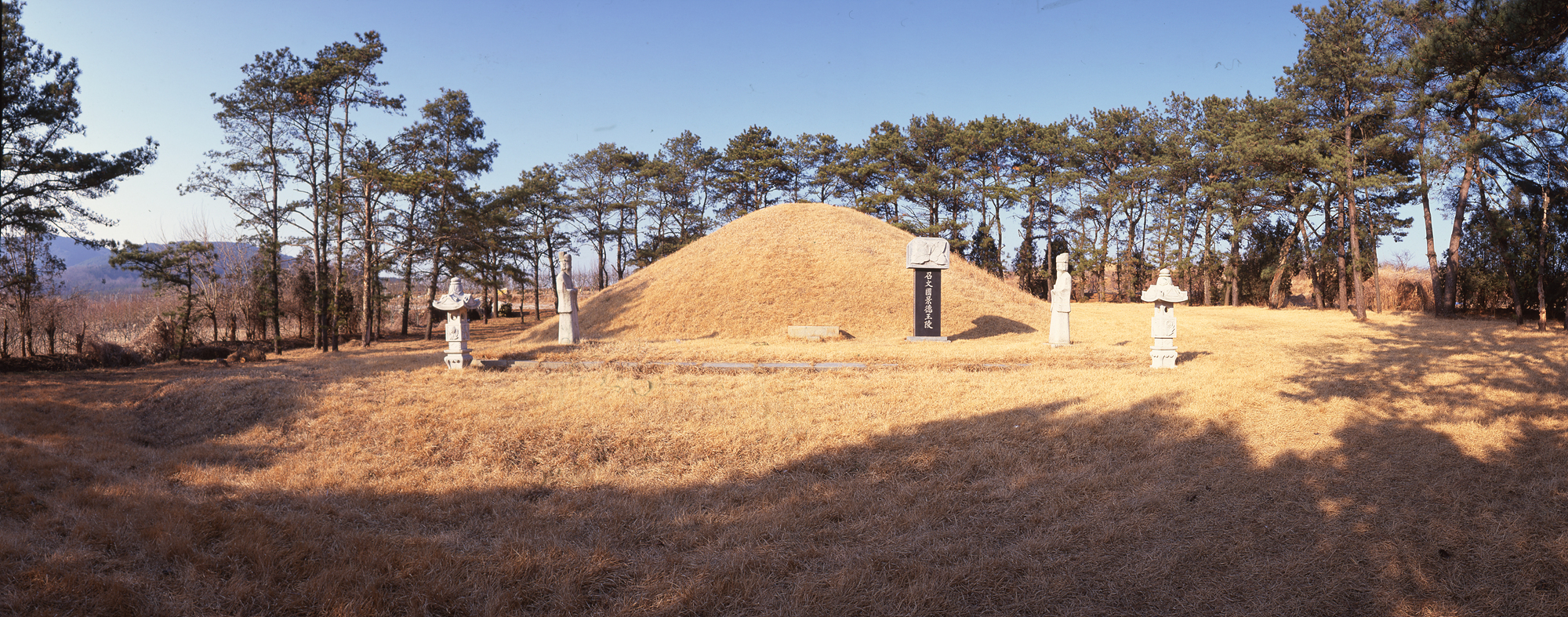 다운로드 불가 이미지