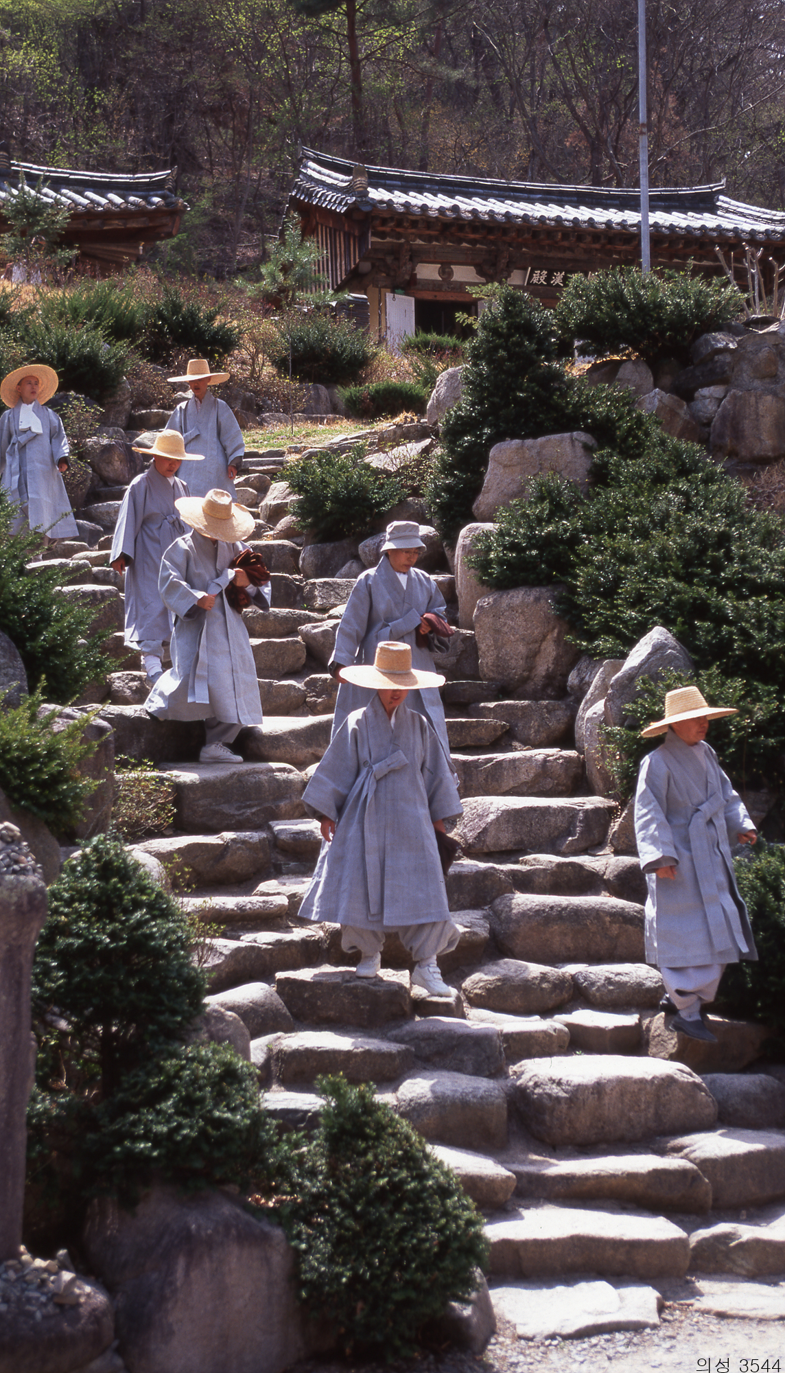 다운로드 불가 이미지