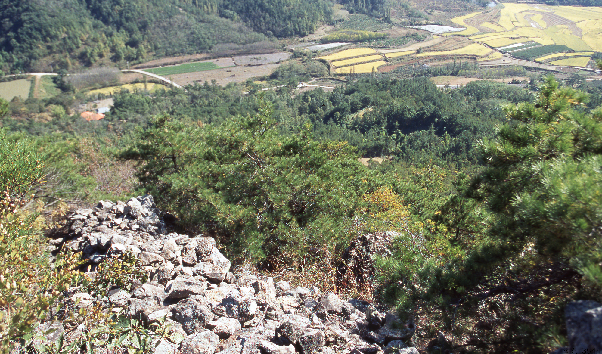 다운로드 불가 이미지