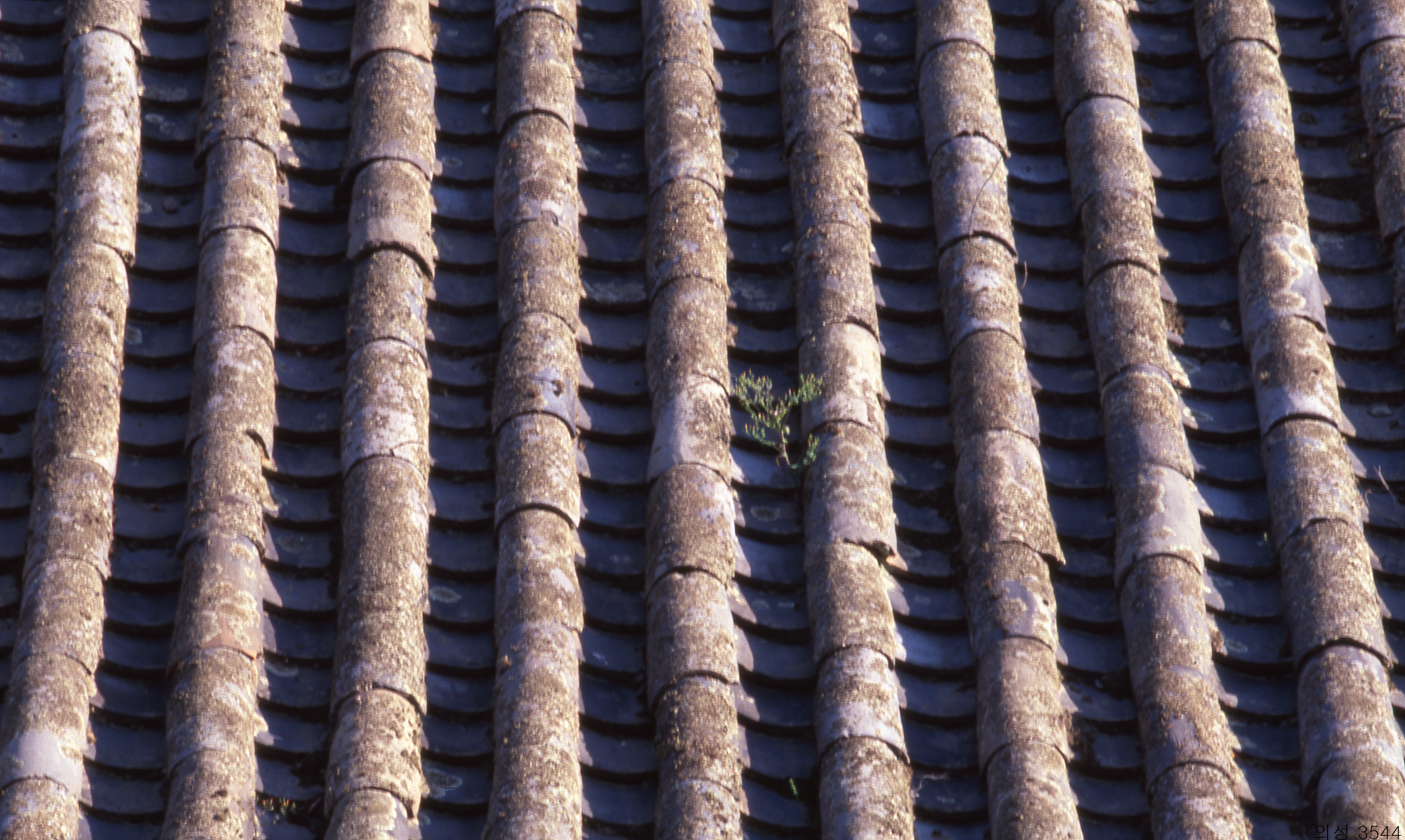 다운로드 불가 이미지