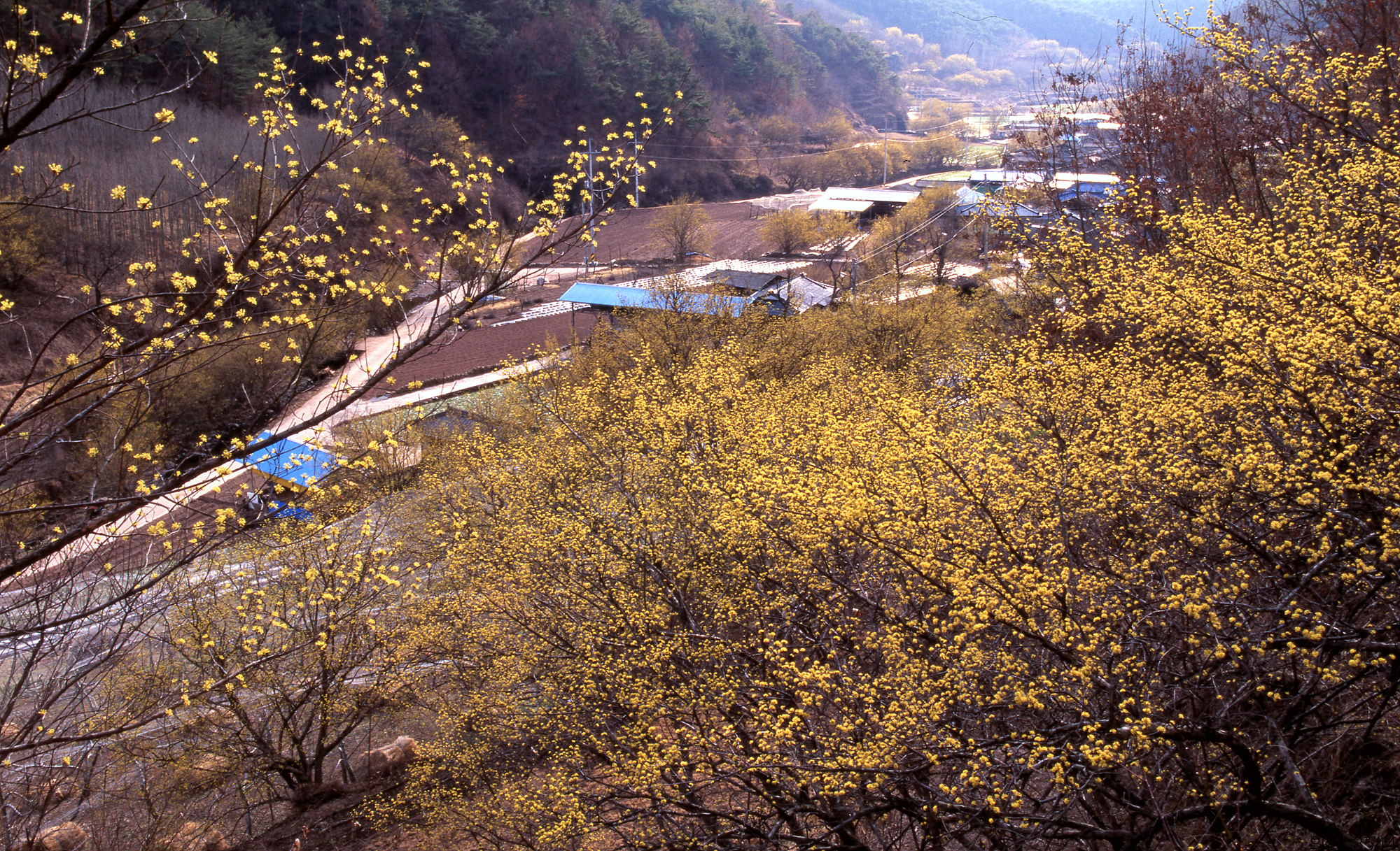 다운로드 불가 이미지