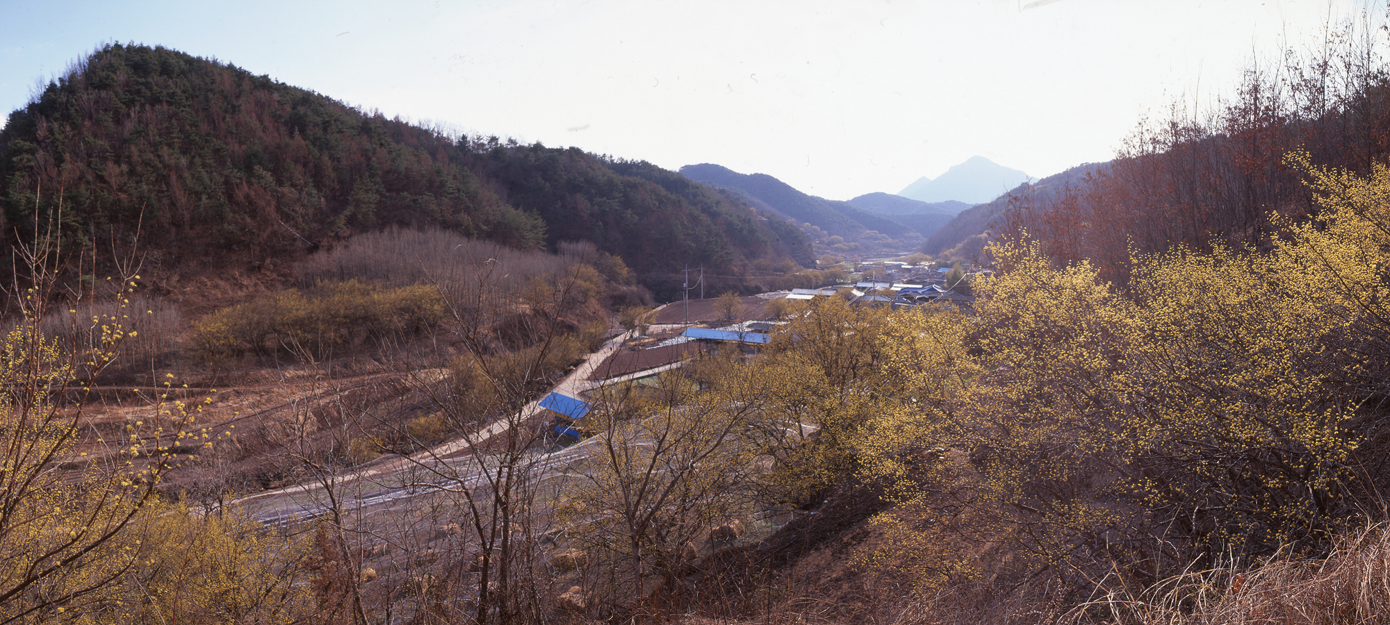 다운로드 불가 이미지