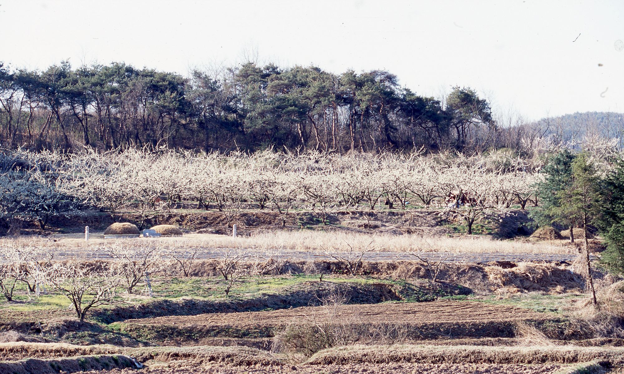 다운로드 불가 이미지