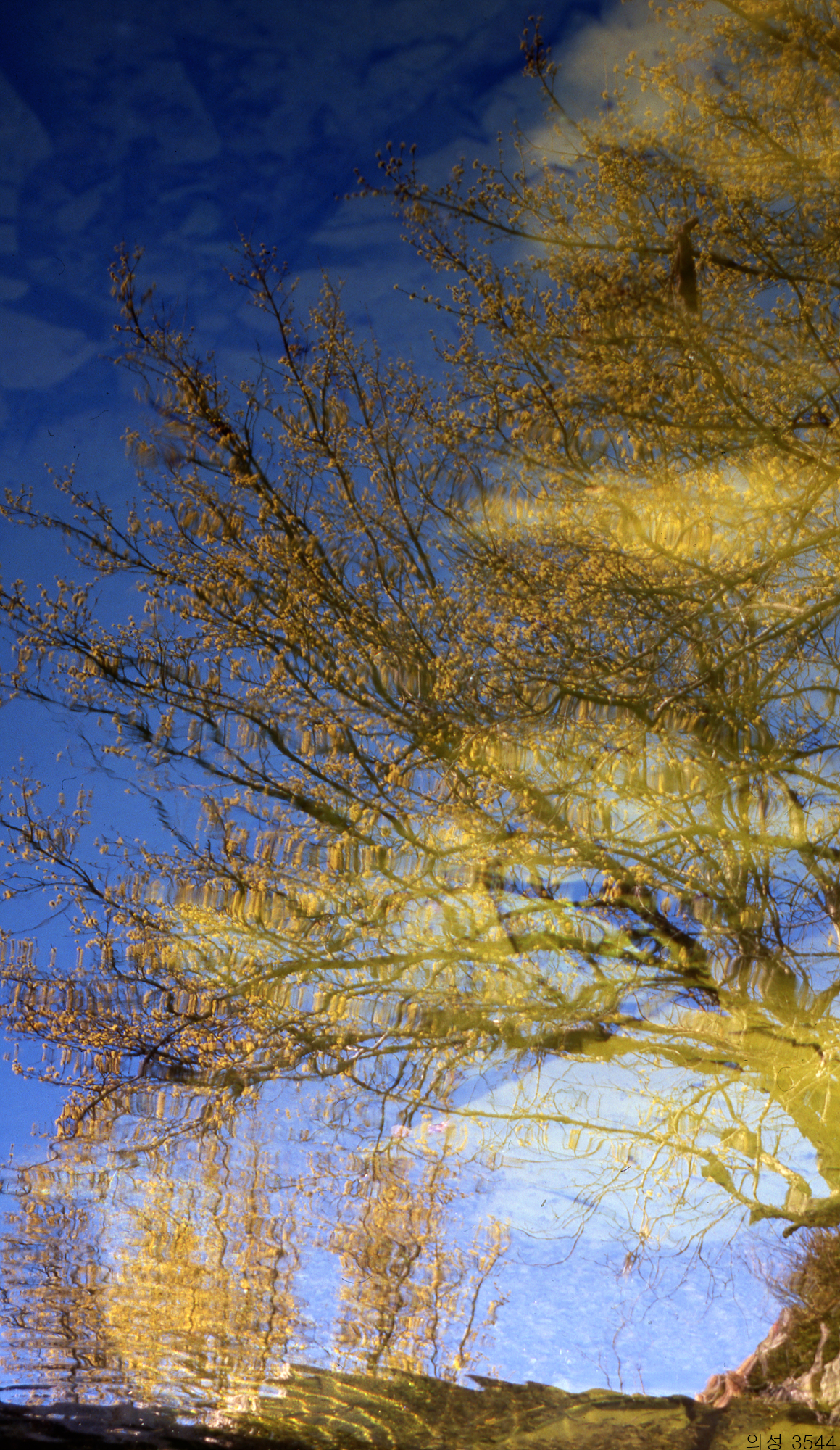 다운로드 불가 이미지