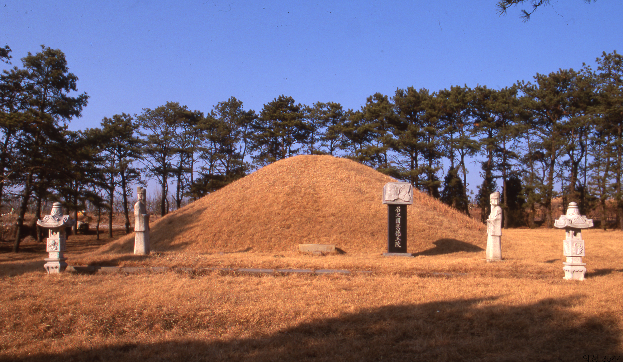 다운로드 불가 이미지