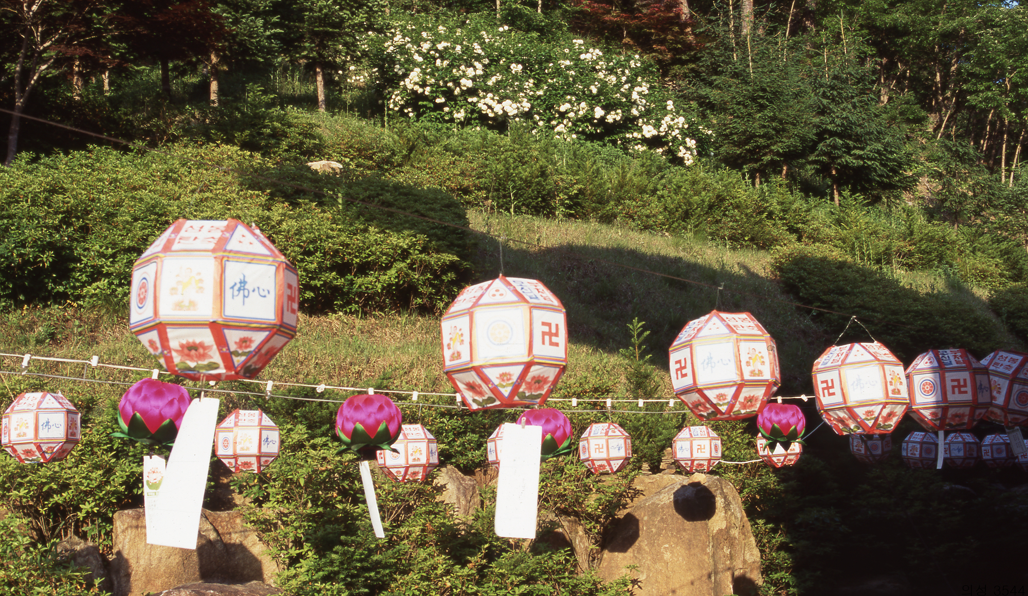 다운로드 불가 이미지