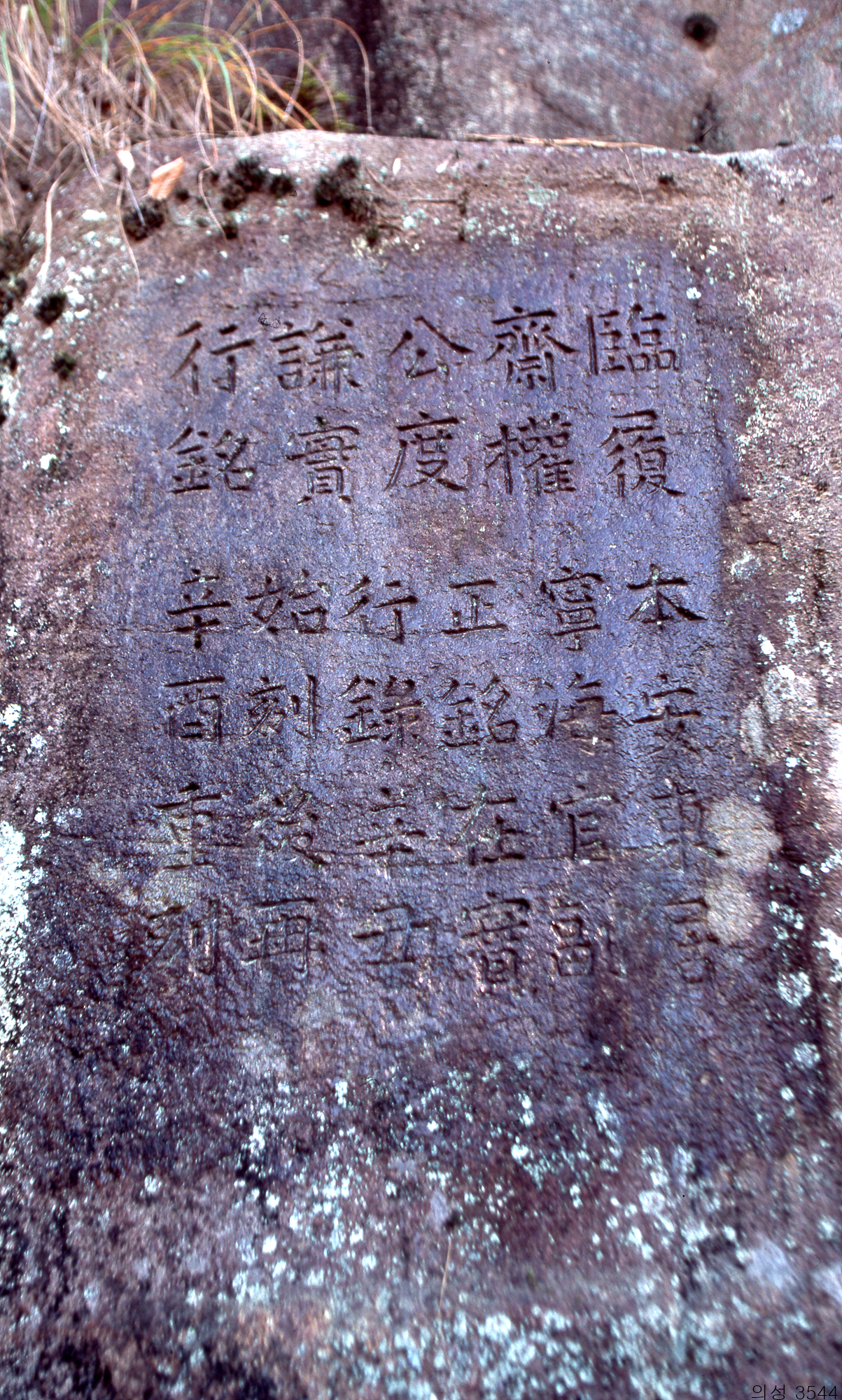 다운로드 불가 이미지