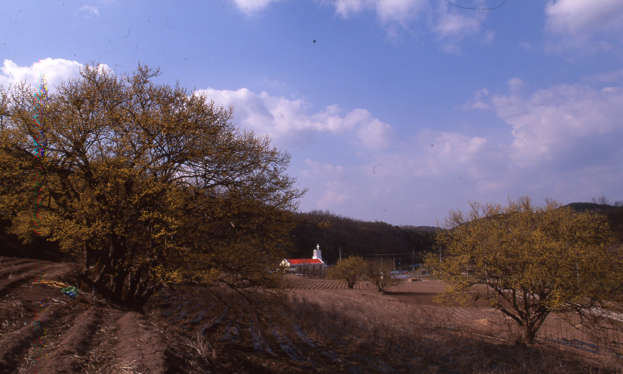 다운로드 불가 이미지