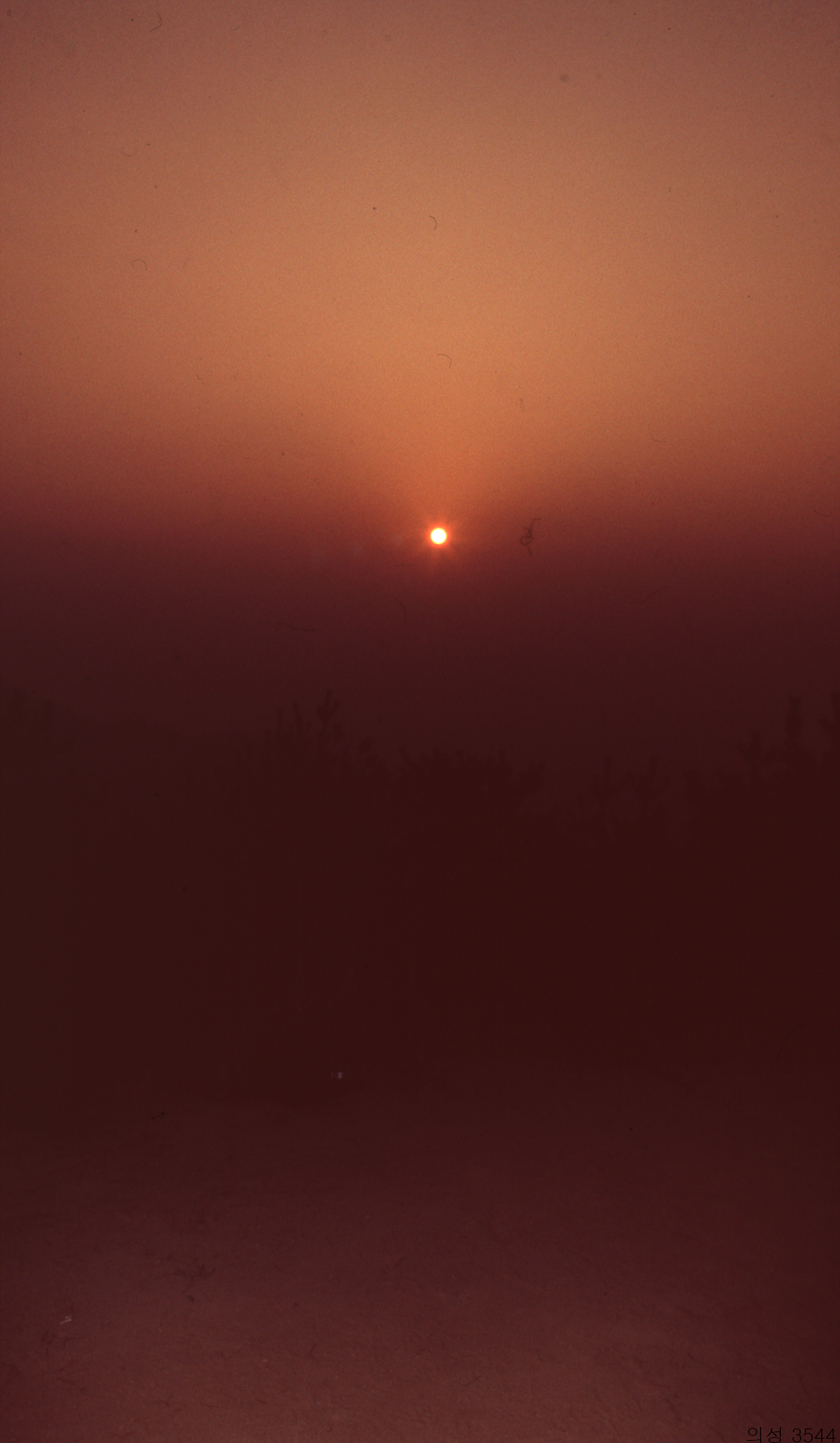 다운로드 불가 이미지