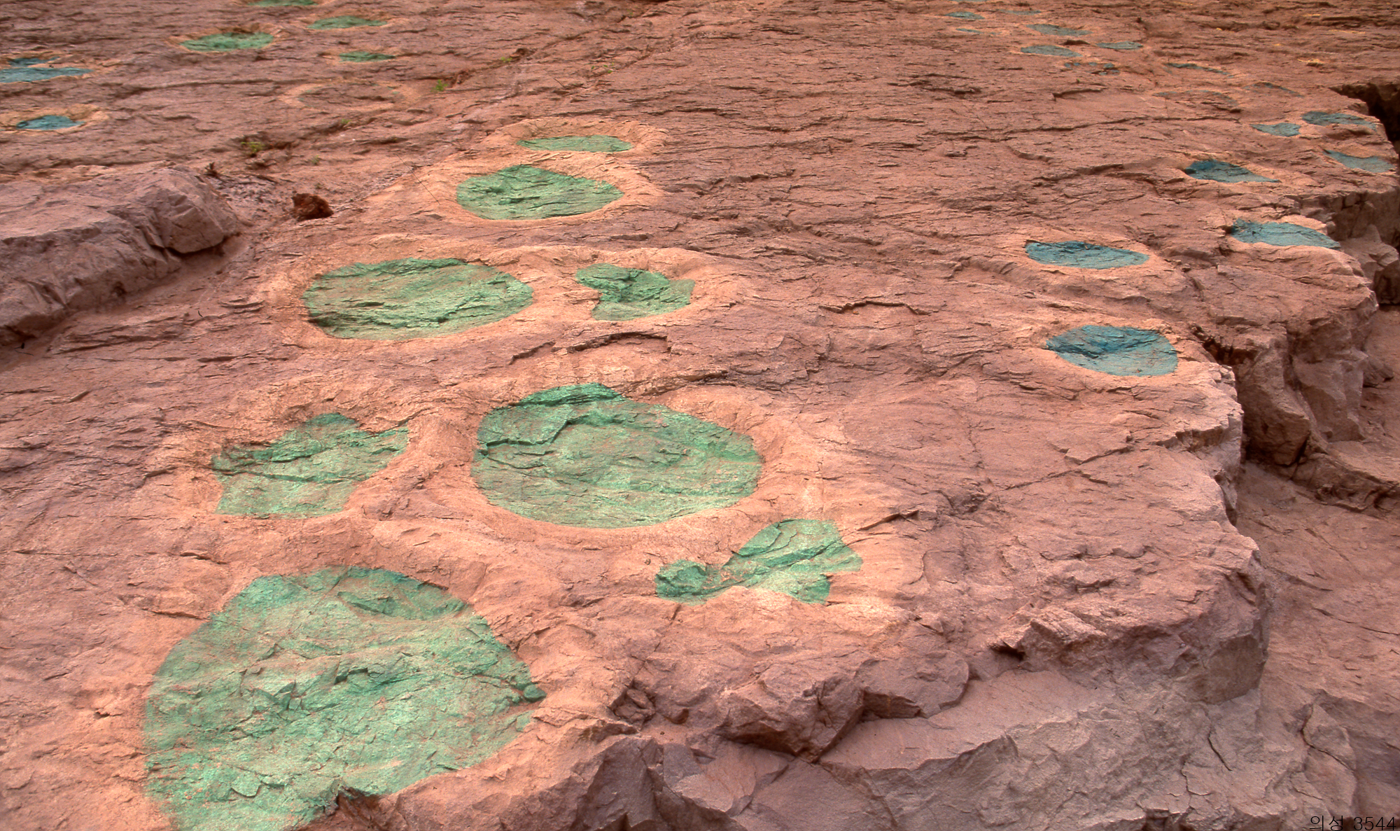 다운로드 불가 이미지