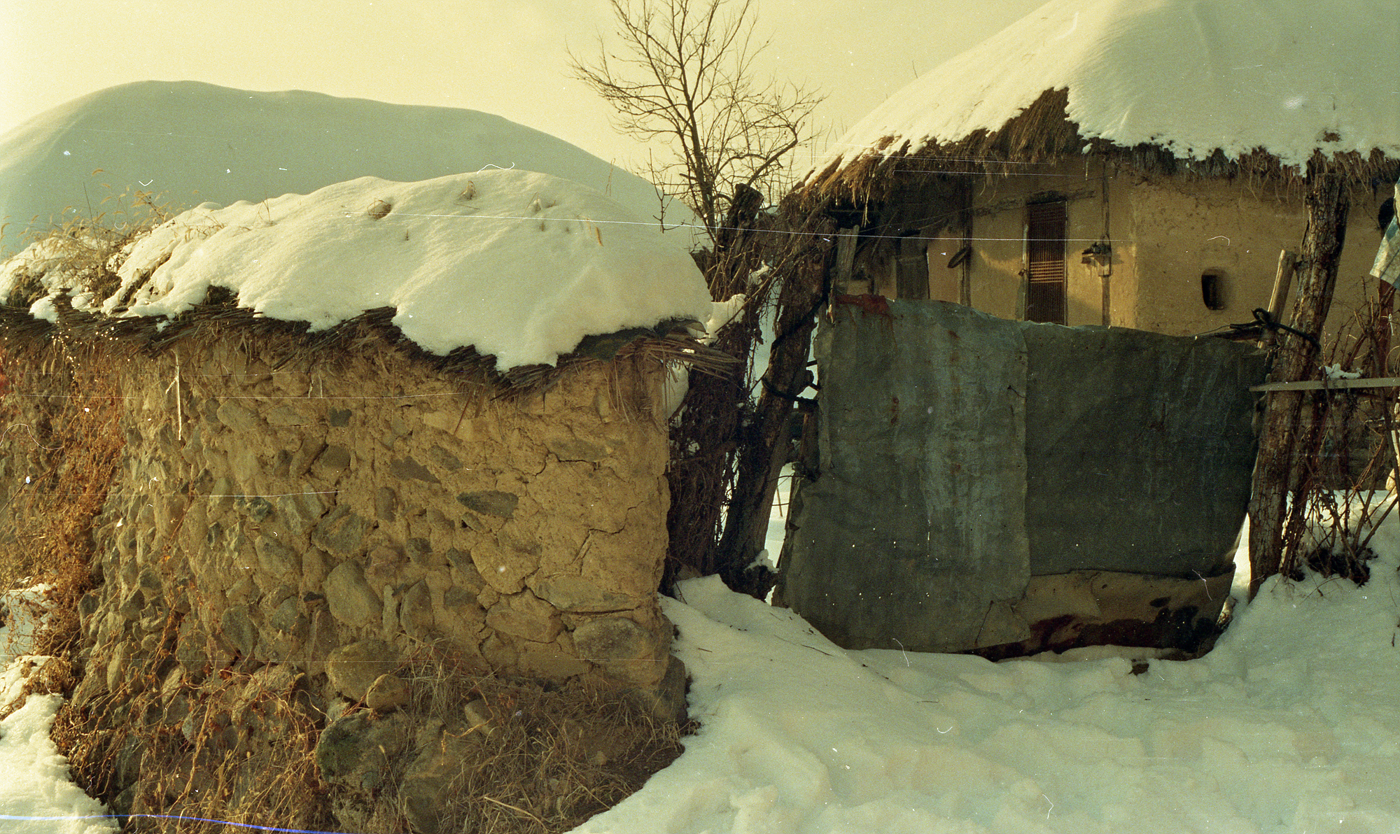 다운로드 불가 이미지