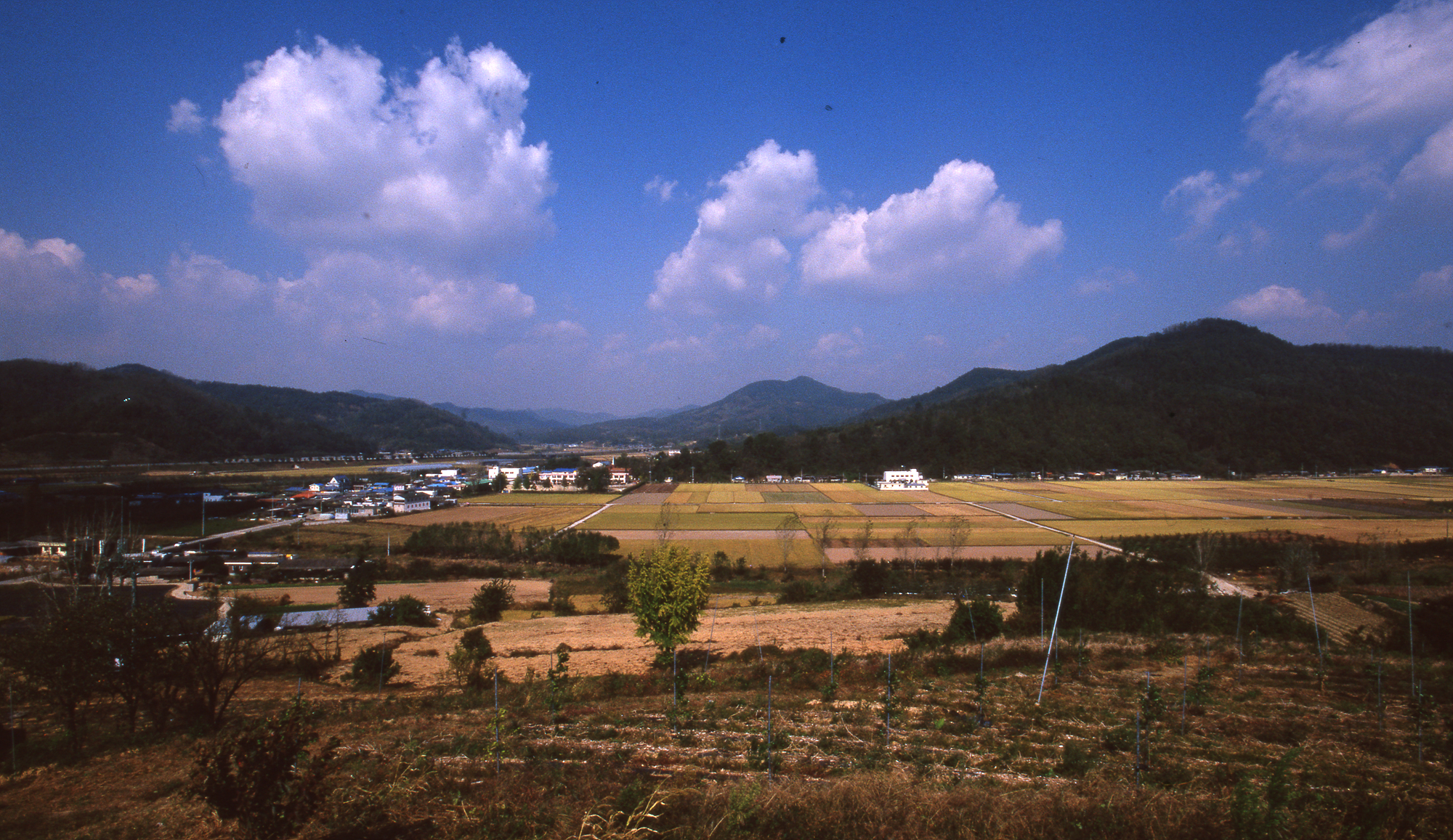 다운로드 불가 이미지