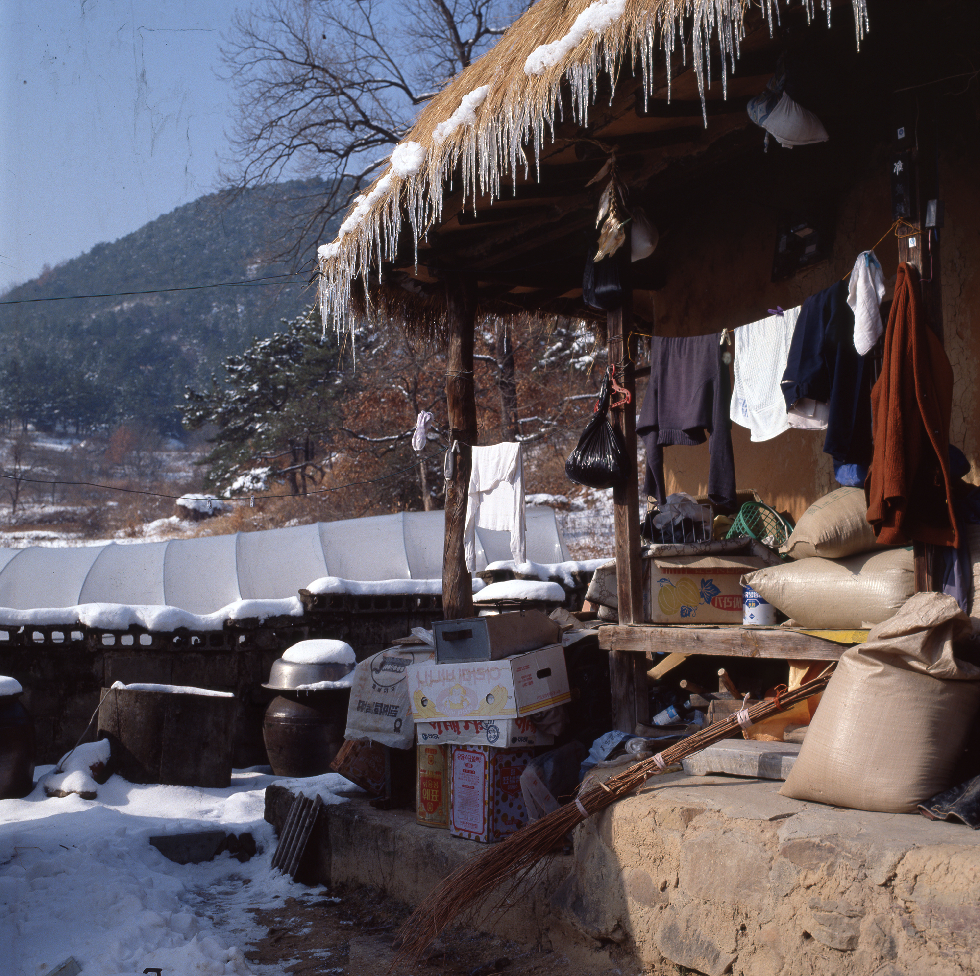 다운로드 불가 이미지