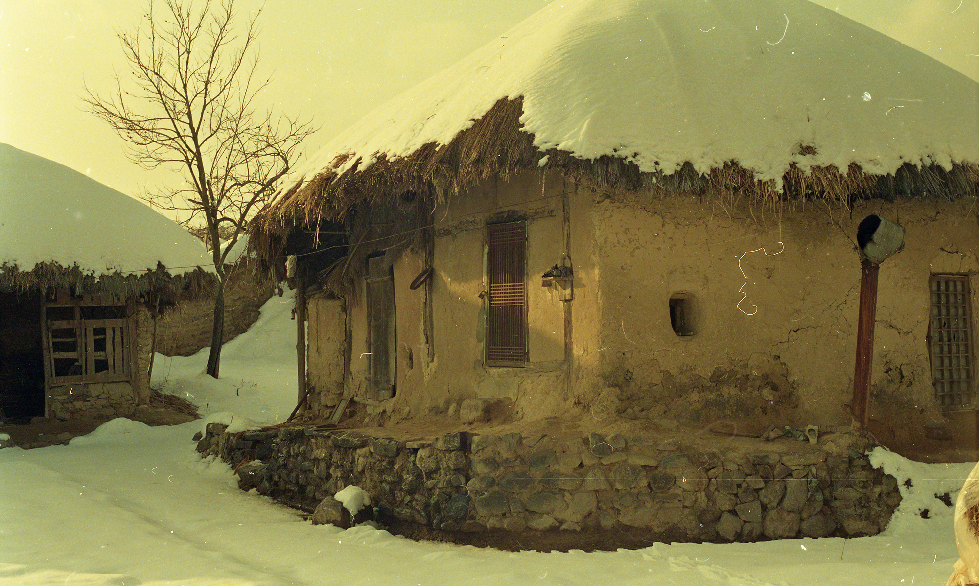 다운로드 불가 이미지