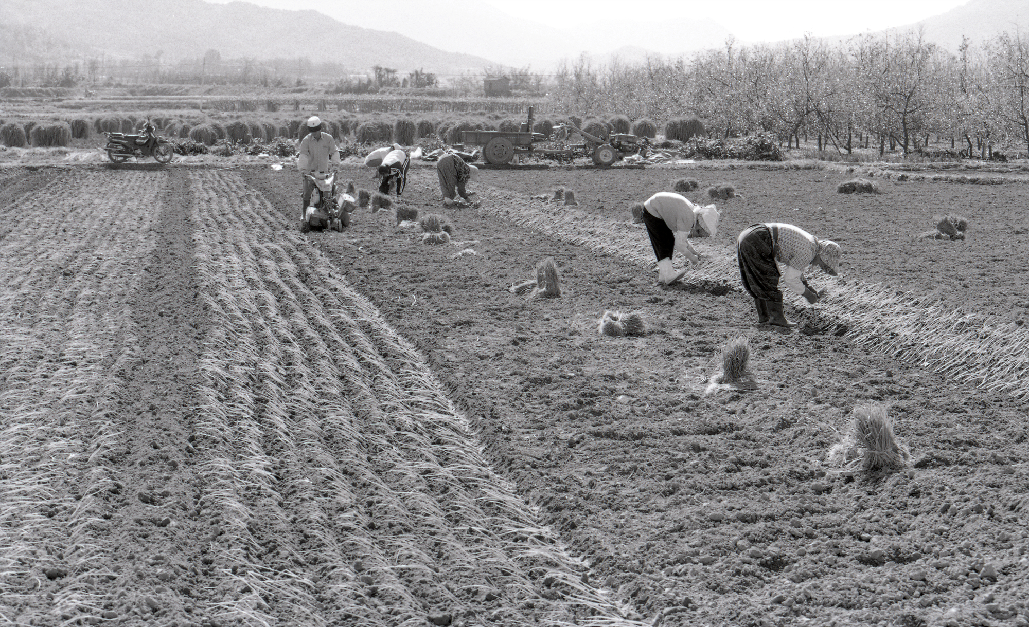 다운로드 불가 이미지