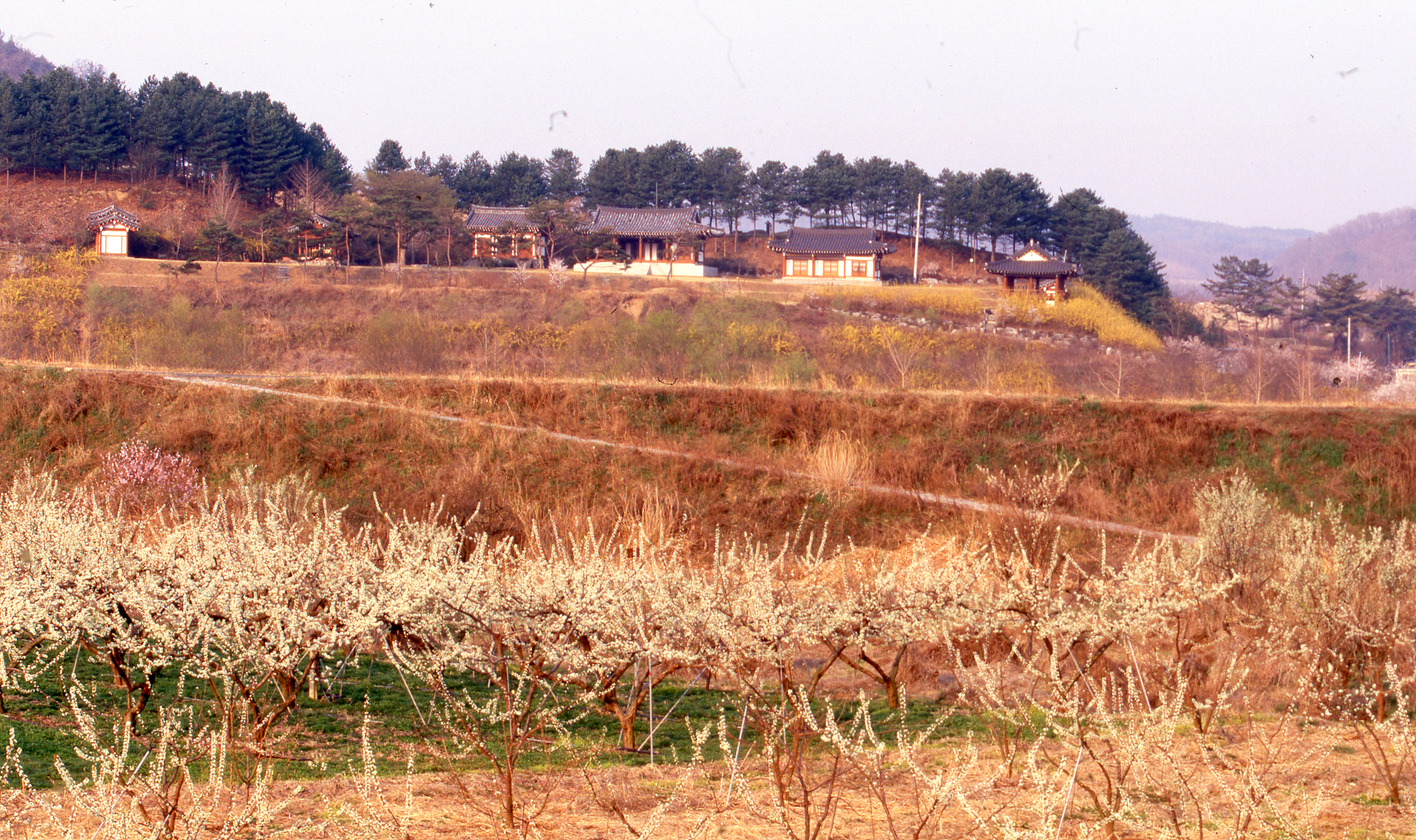 다운로드 불가 이미지