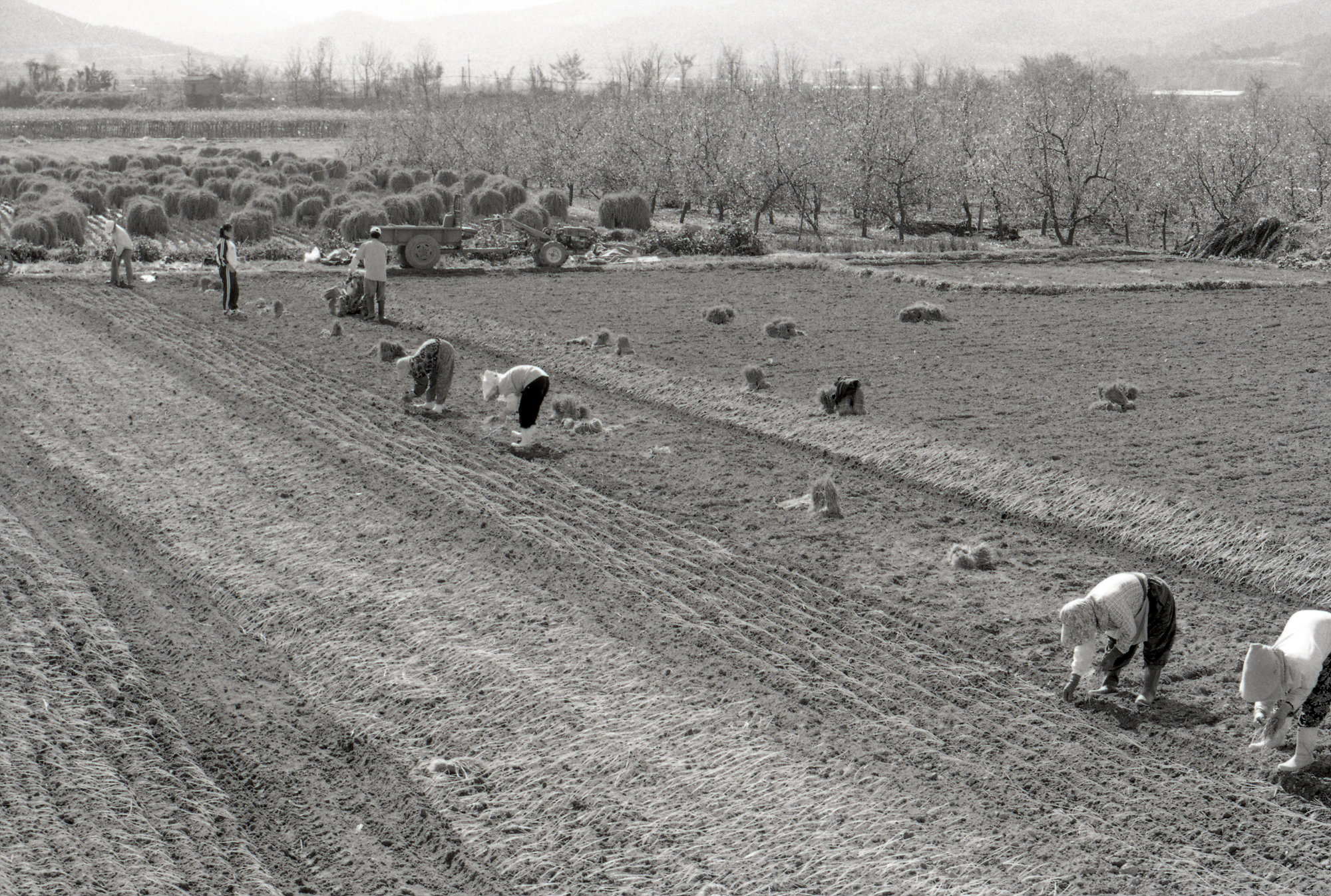 다운로드 불가 이미지