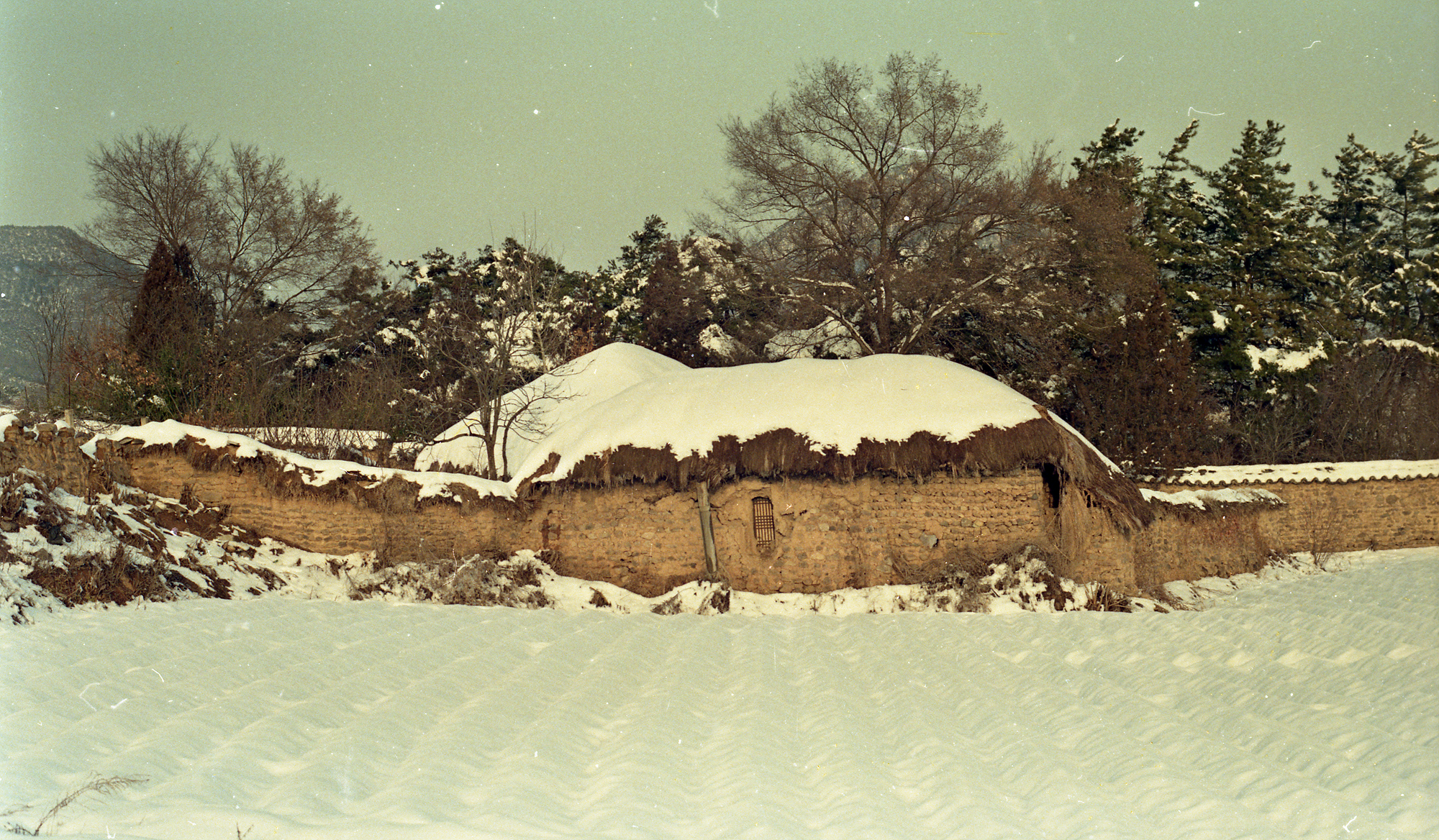 다운로드 불가 이미지