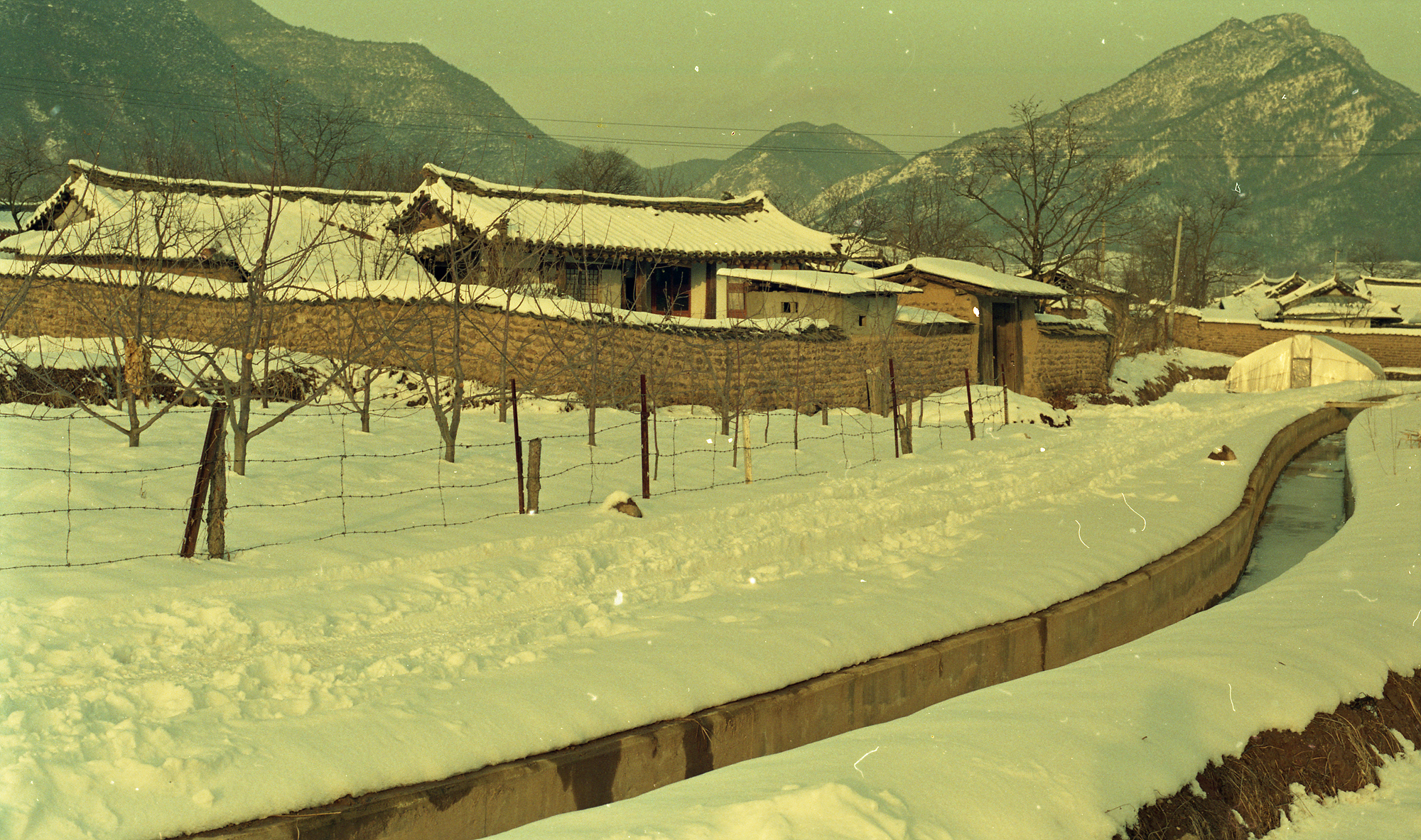 다운로드 불가 이미지