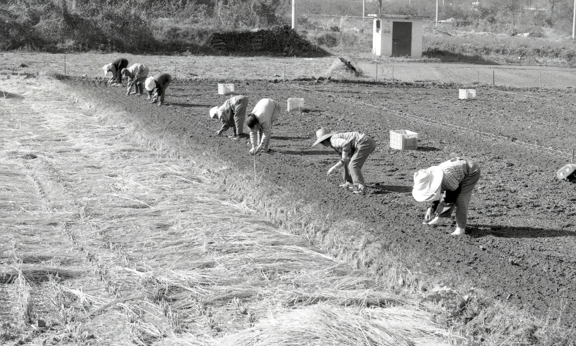 다운로드 불가 이미지