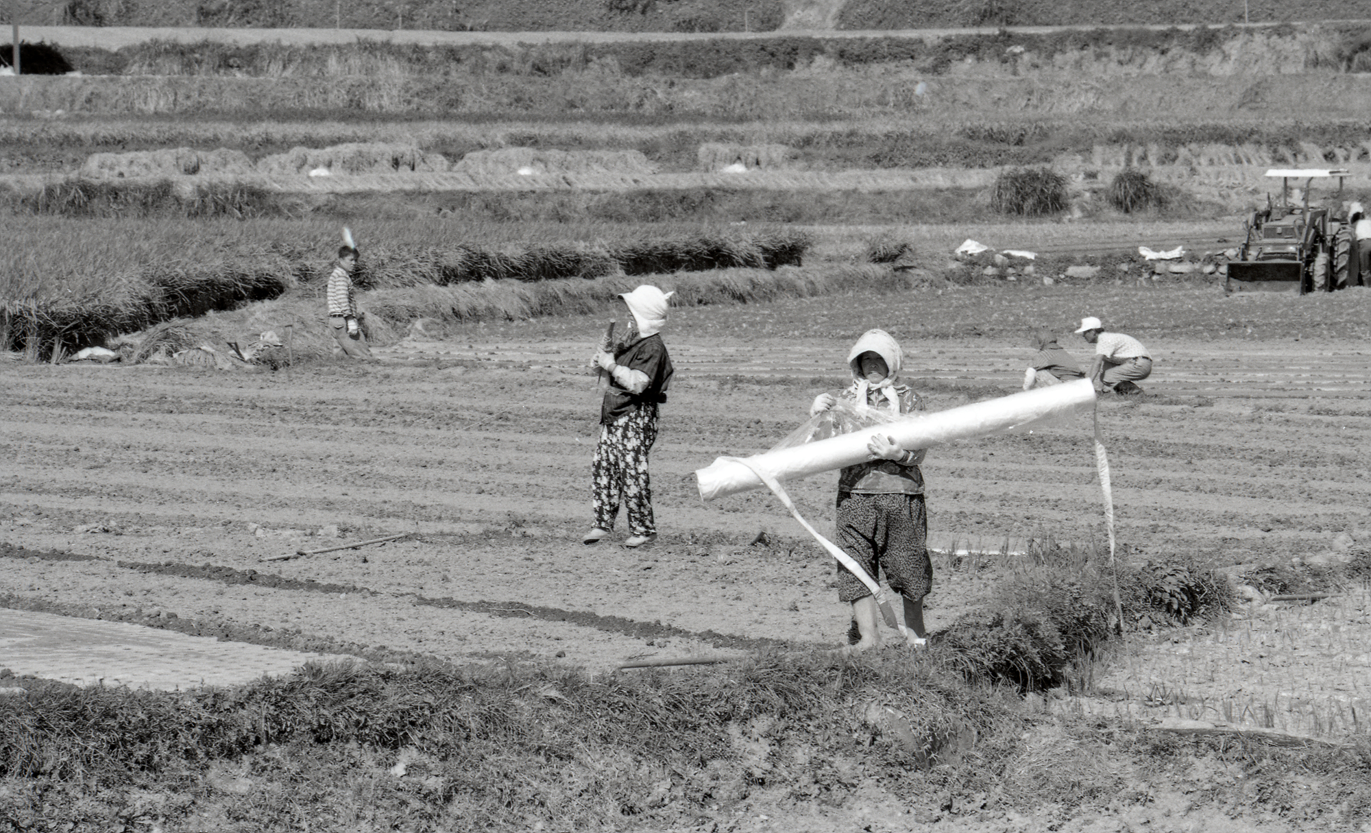 다운로드 불가 이미지