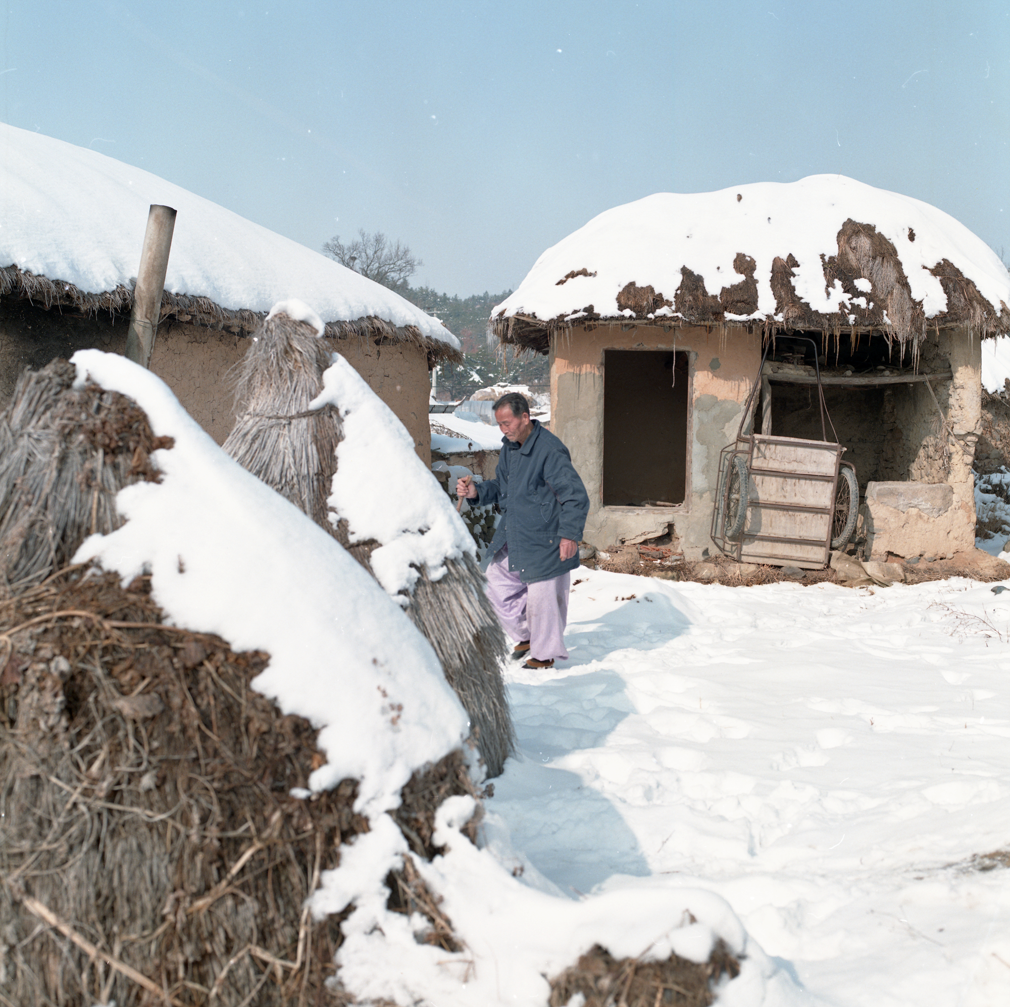 다운로드 불가 이미지