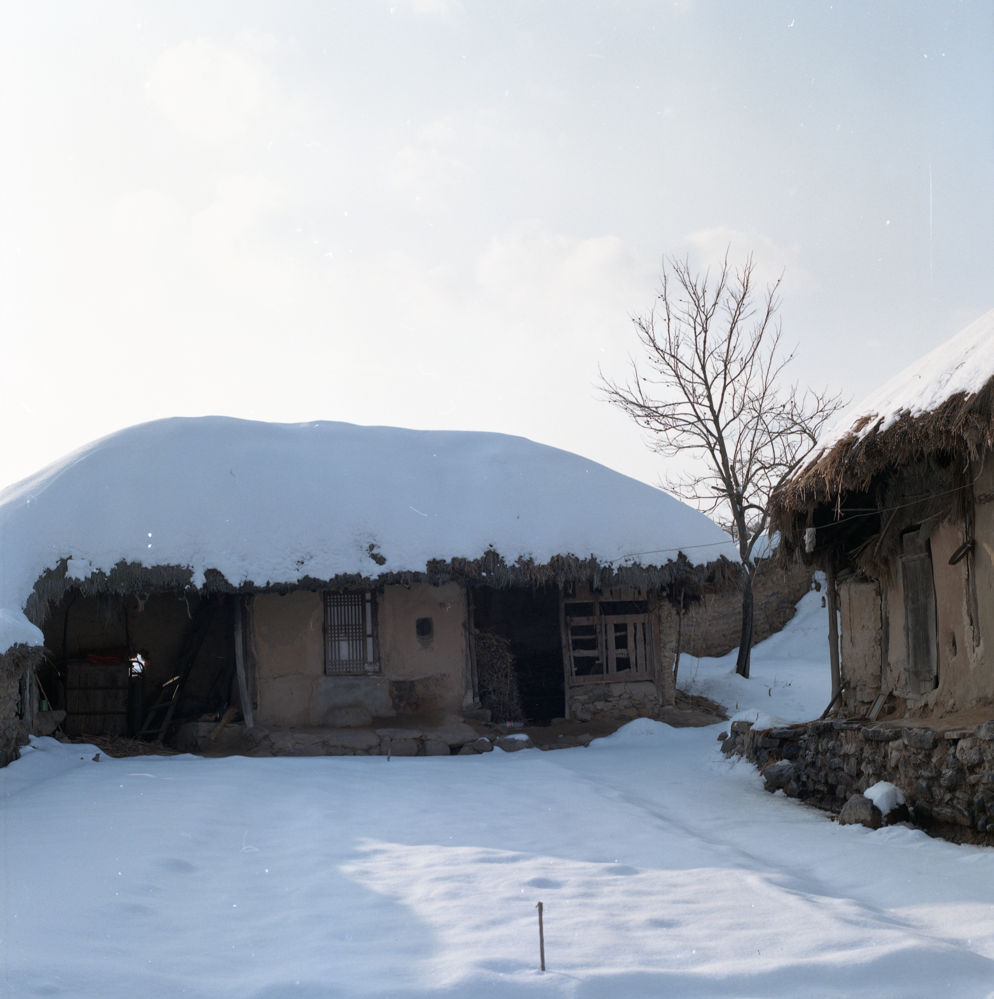 다운로드 불가 이미지