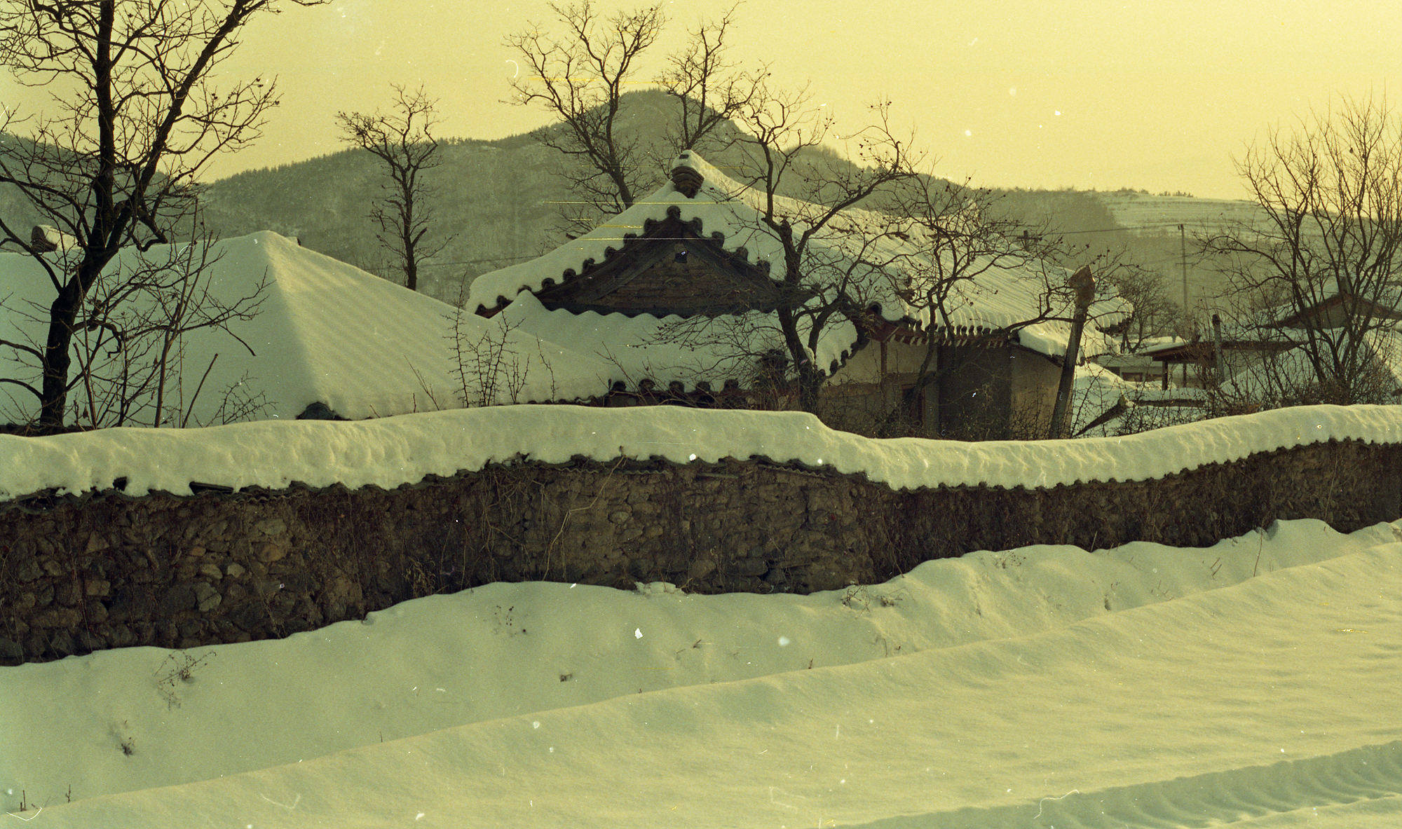 다운로드 불가 이미지