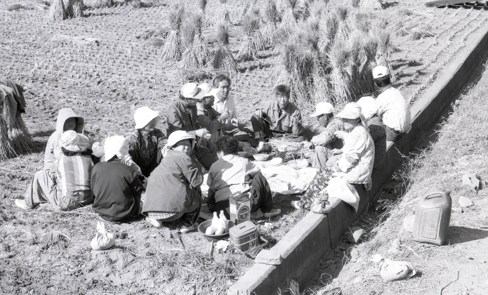 다운로드 불가 이미지