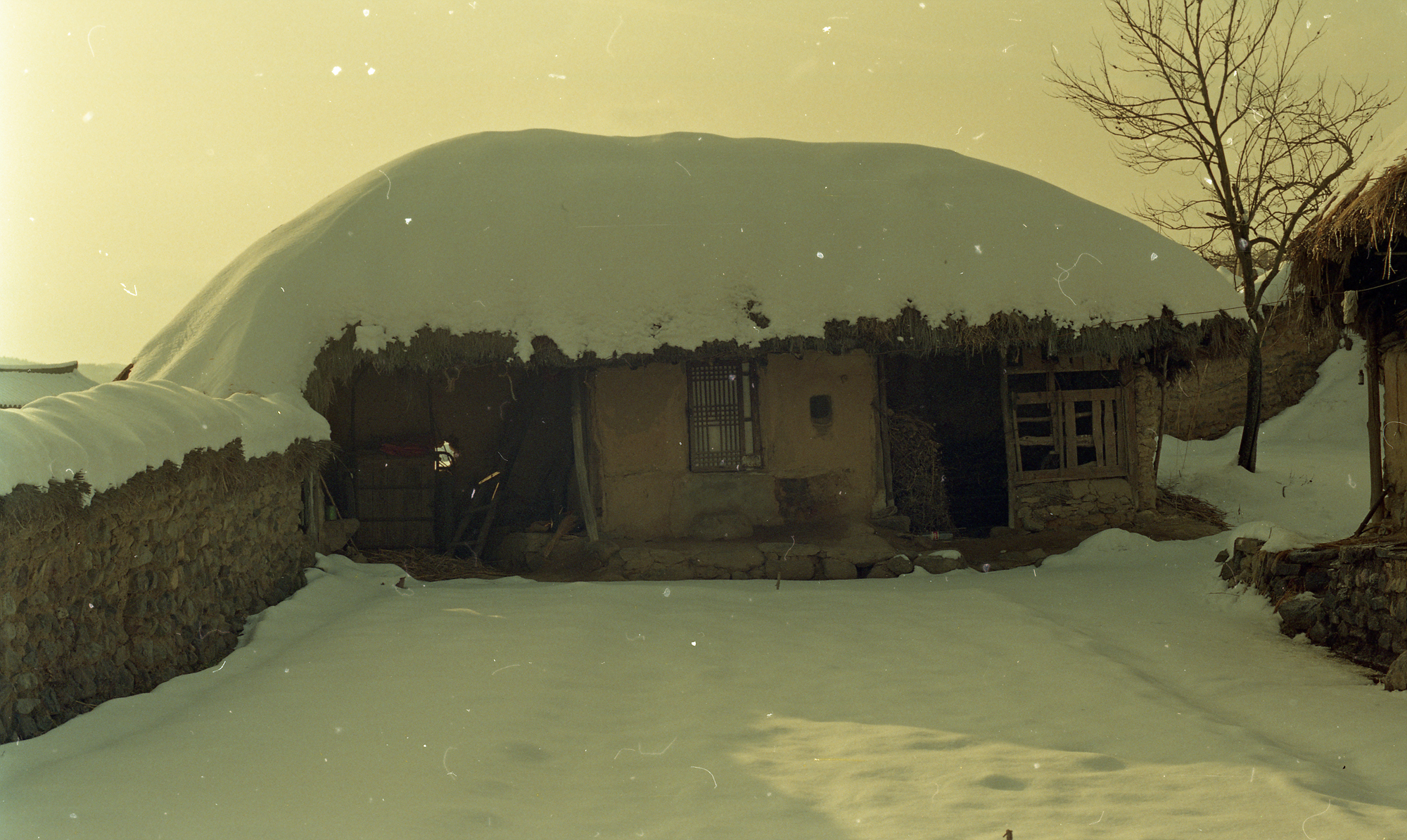 다운로드 불가 이미지