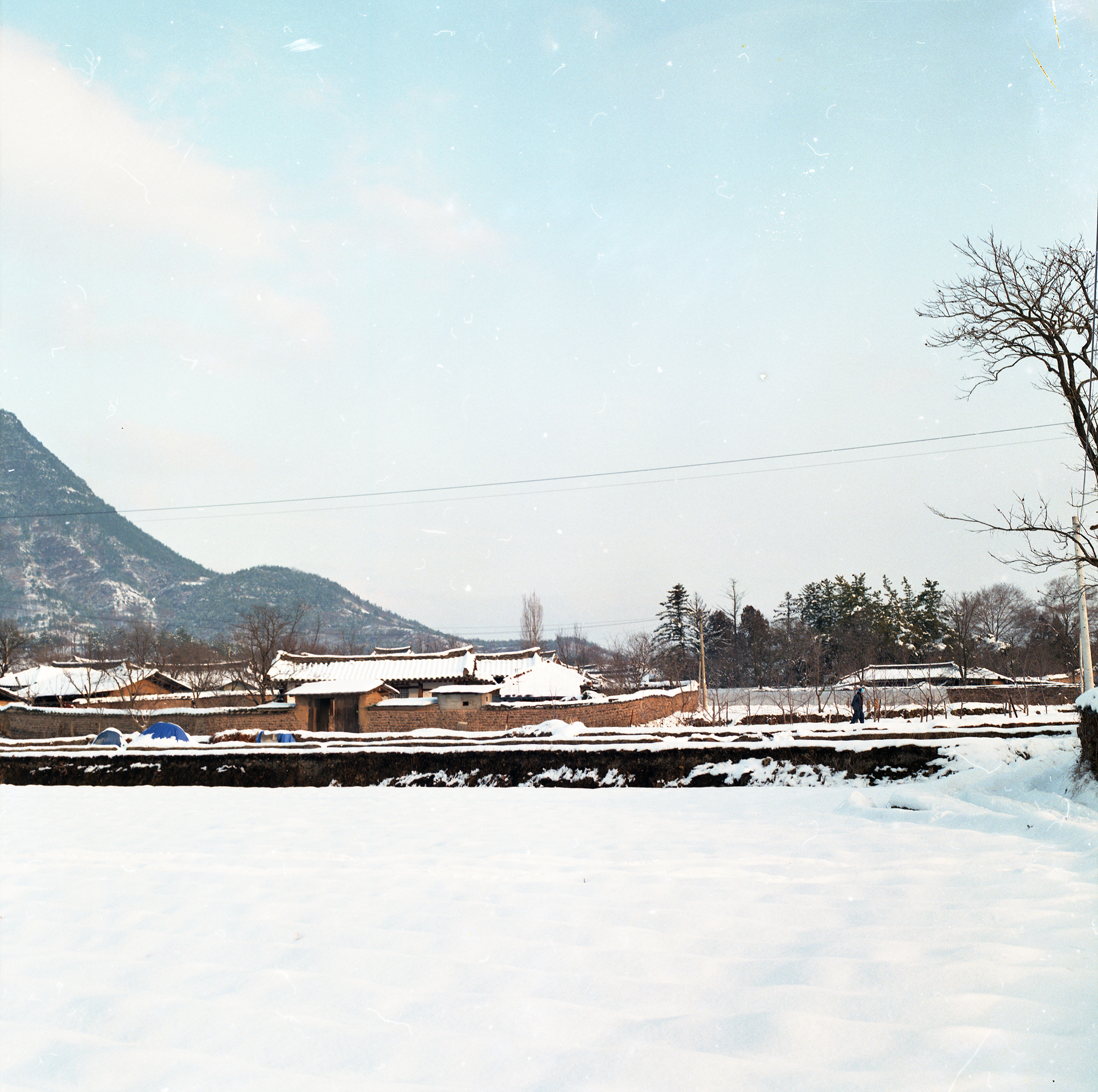 다운로드 불가 이미지