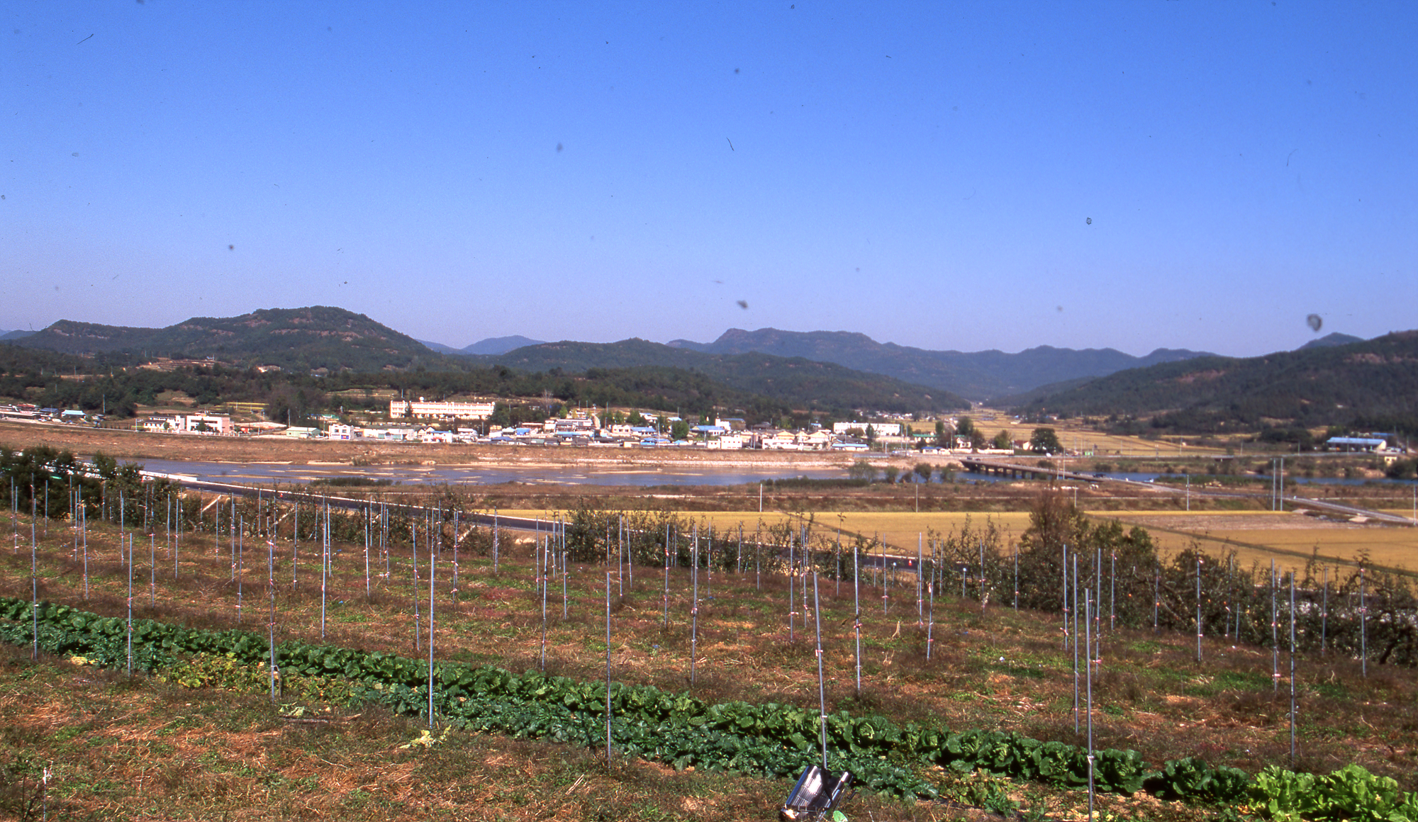 다운로드 불가 이미지